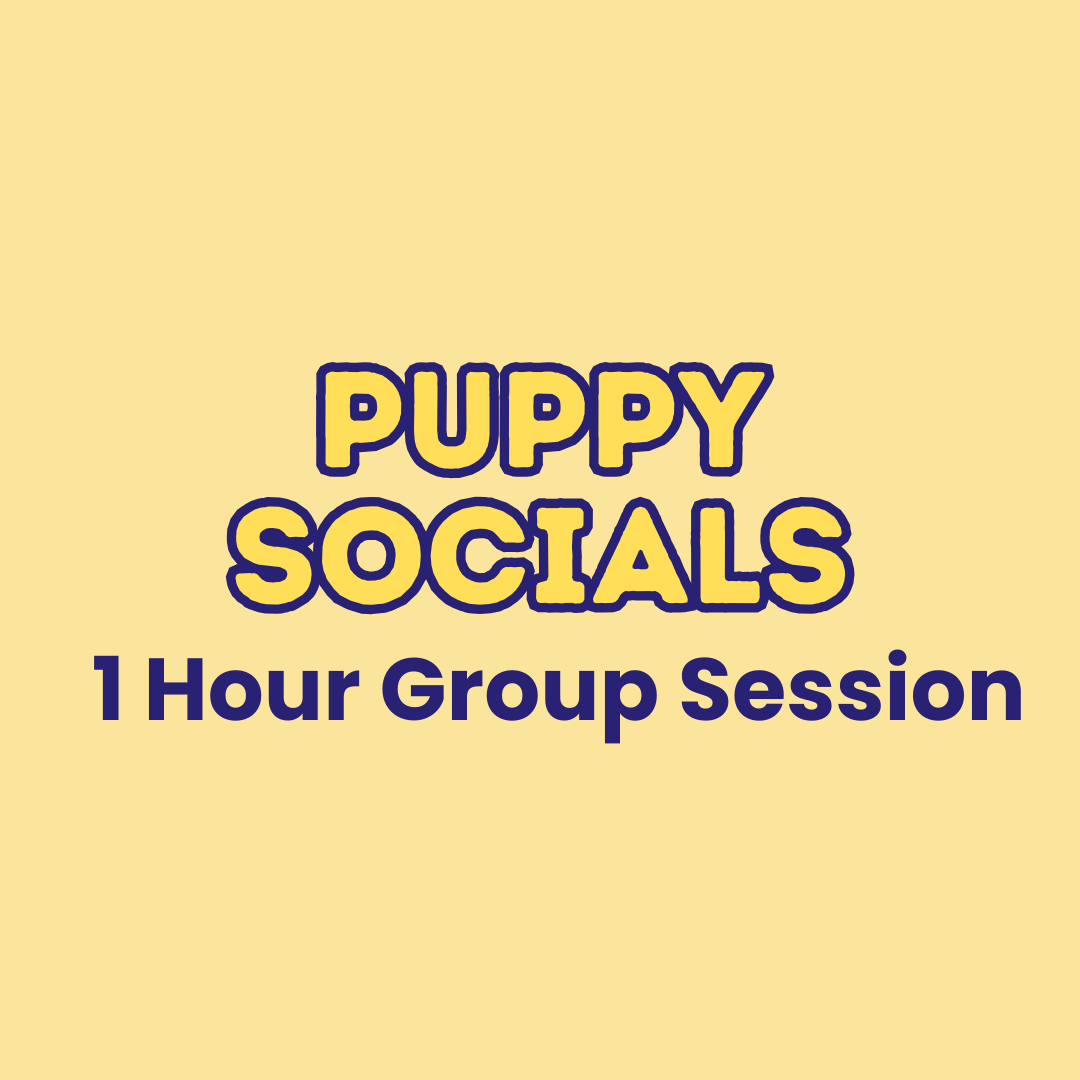 Puppy  Socials