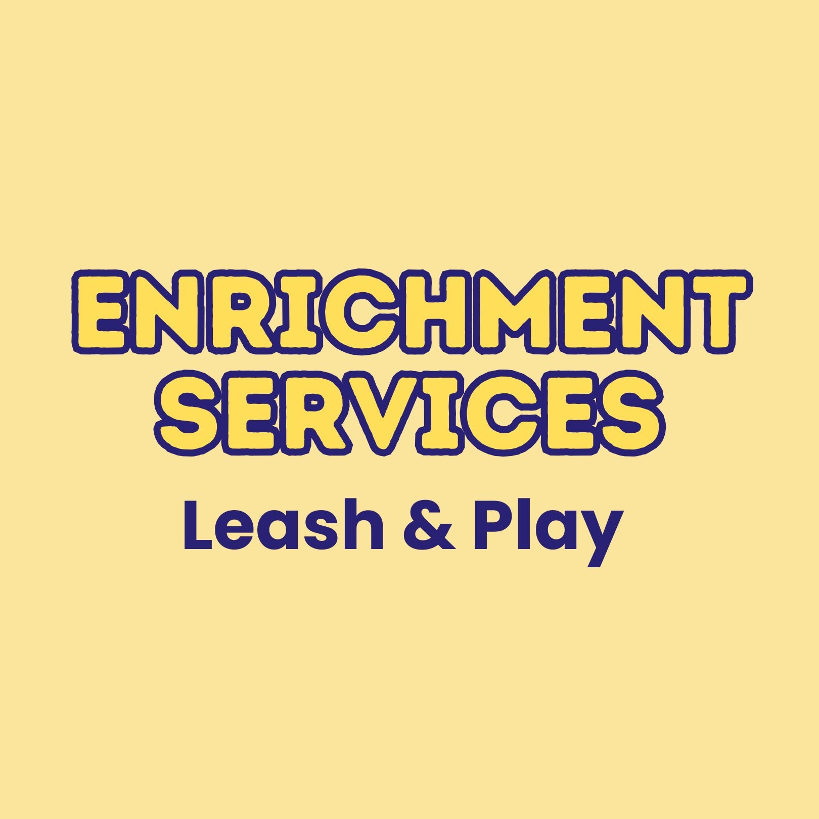 Leash & Play Bundle