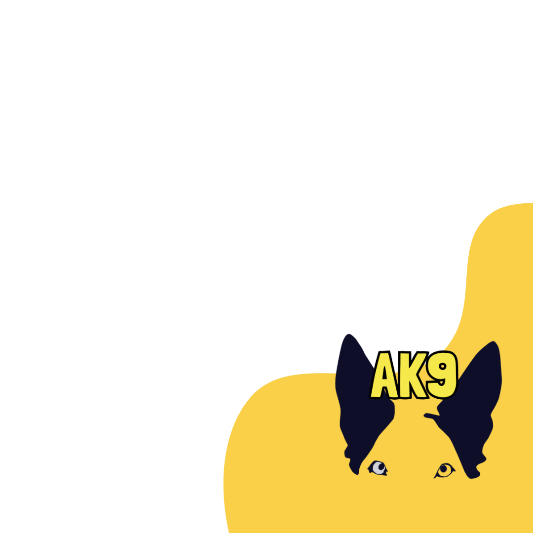 Illustration of a dog's face with black ears and yellow fur, wearing glasses with 'AK9' on them, and a yellow background.