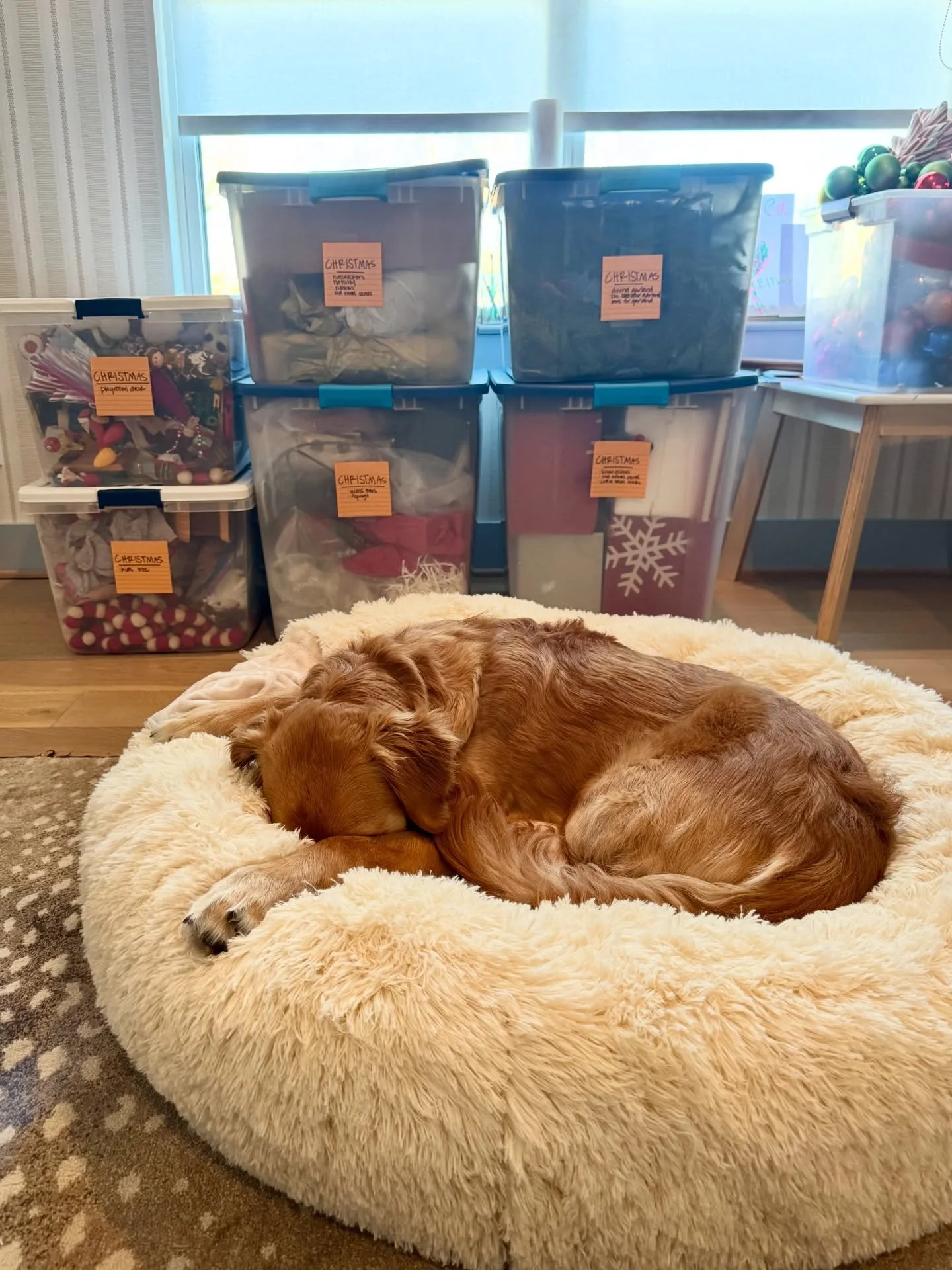 Oh how I love these sweet, slow, sleepy &ldquo;in between&rdquo; days. Packed up Christmas, organized a few spaces, but mostly snuggled and played in the same soft clothes for days on end. It 👏🏼 was 👏🏼 glorious. So not ready for early wake ups an