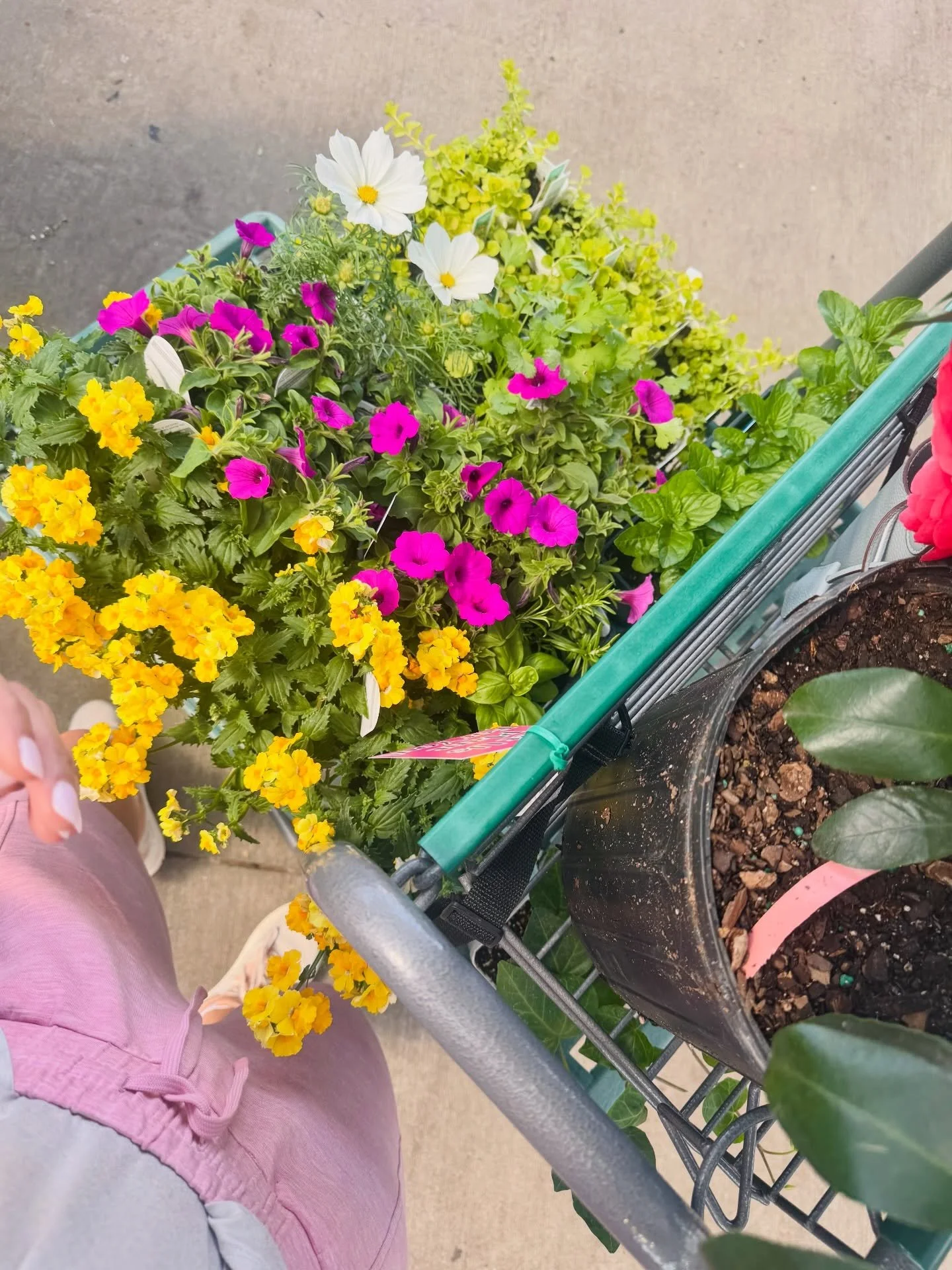 For anyone wondering why I don&rsquo;t have more &ldquo;in feed&rdquo; content, it&rsquo;s because of this. I had plans today to create some graphics about new beauty recs I&rsquo;m loving, but instead saw two free hours on my calendar and headed to 