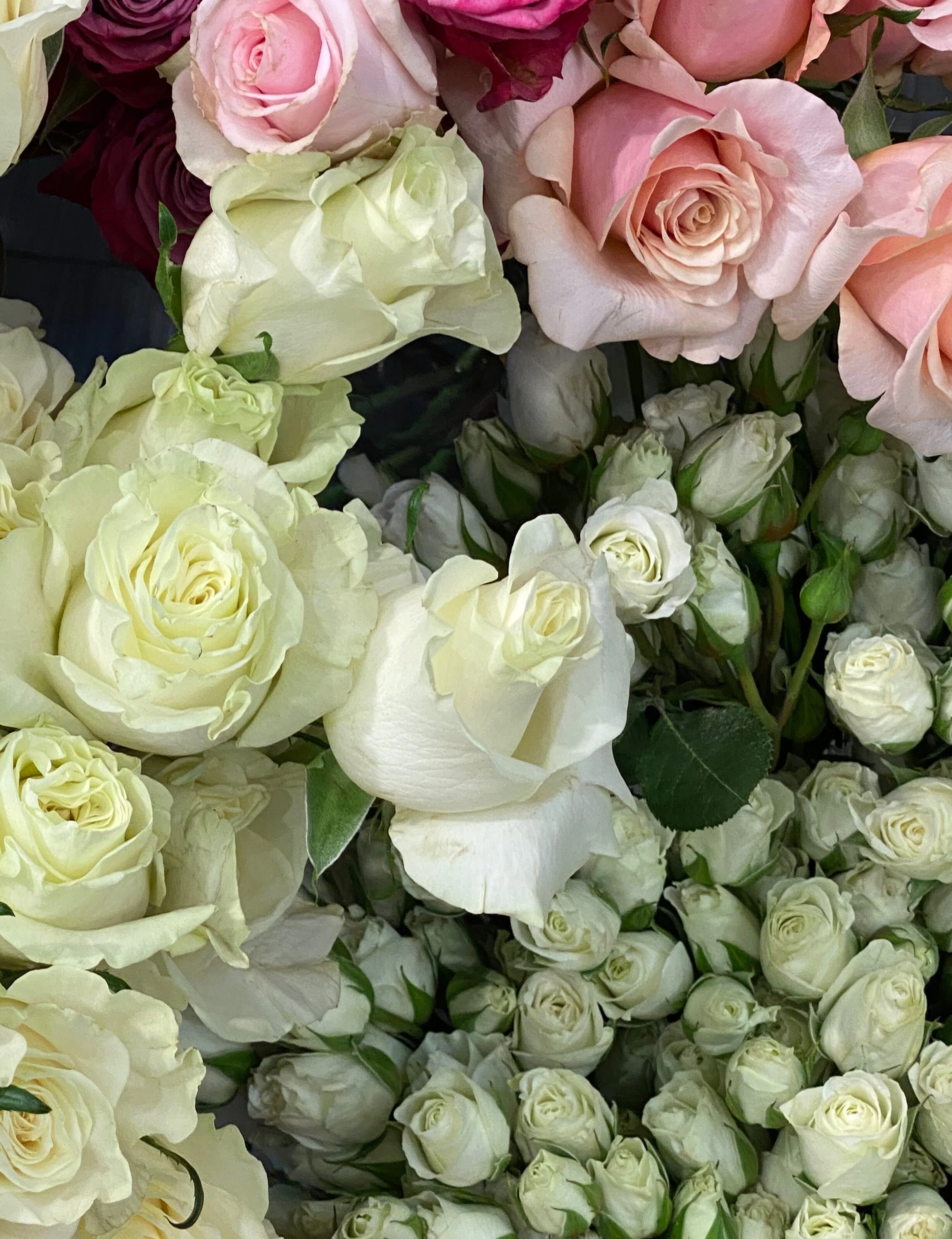 sephora rouge/VIB holiday picks