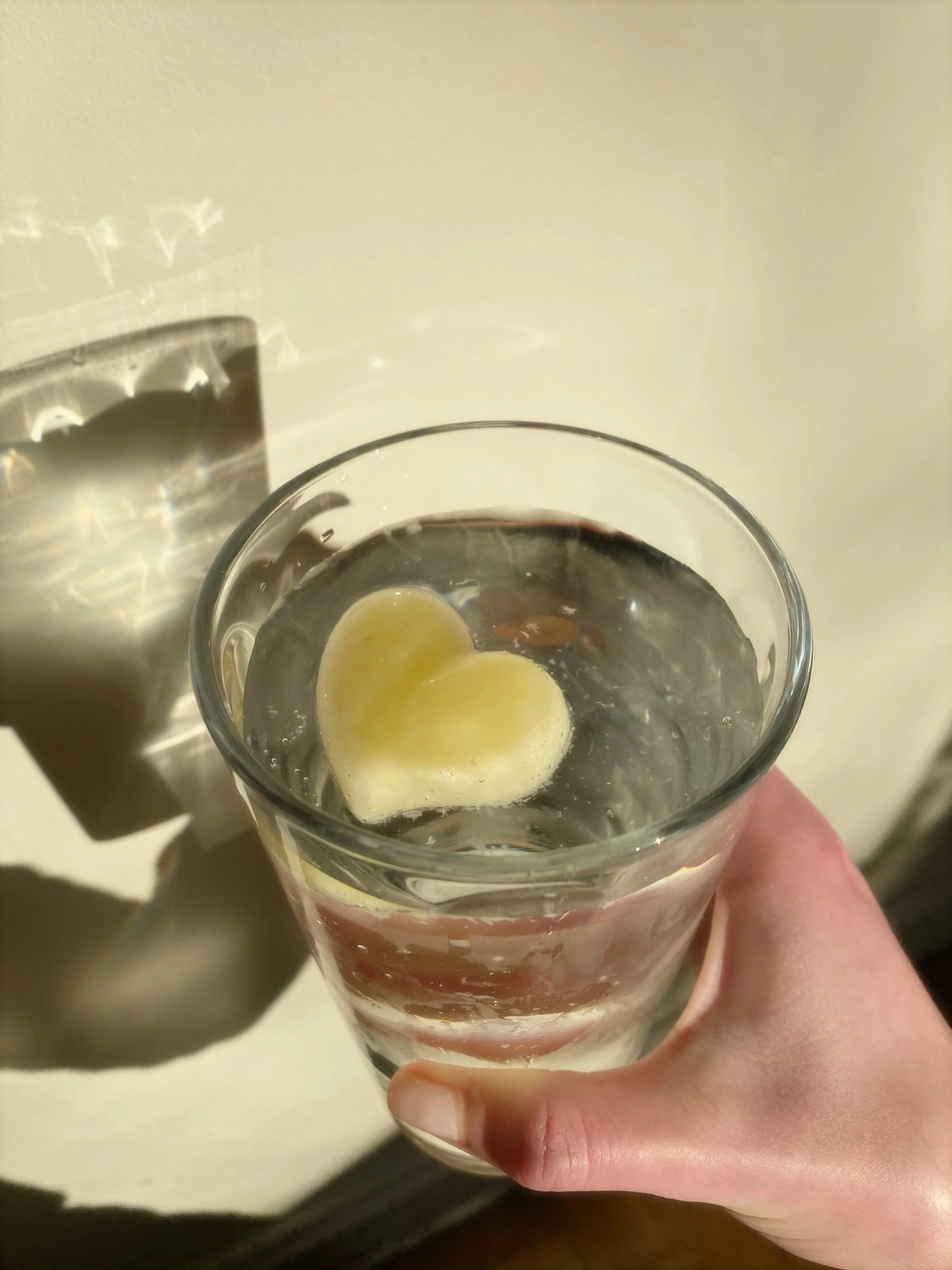 sustainable lemon water 