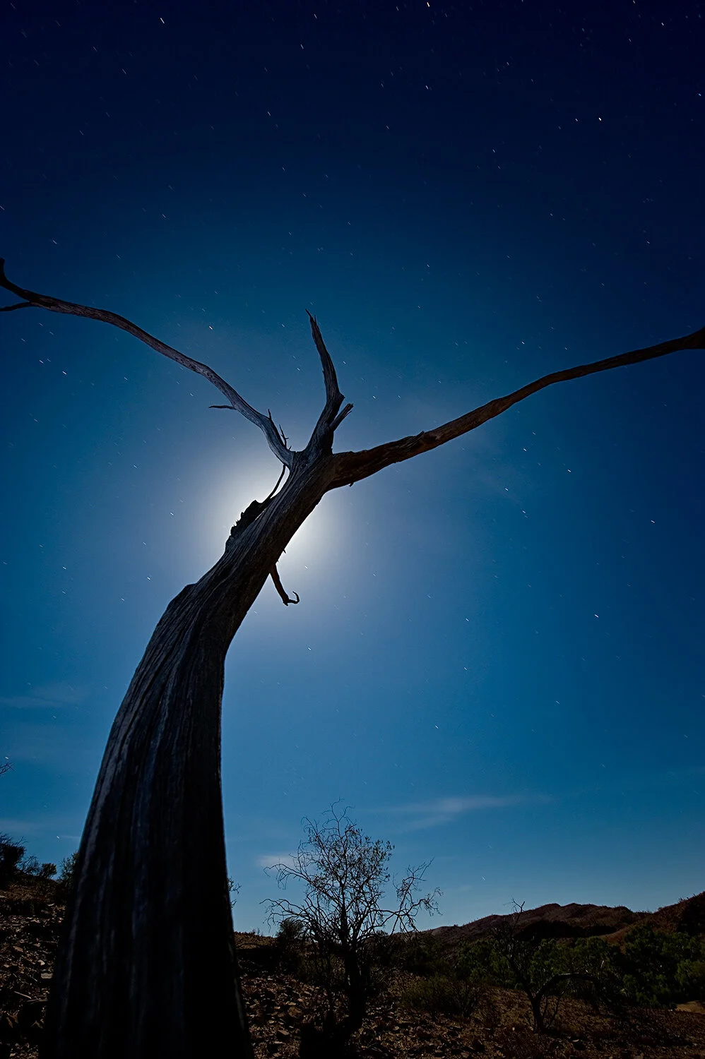 landscape-photography-flinders-rangers-by-andy-rasheed