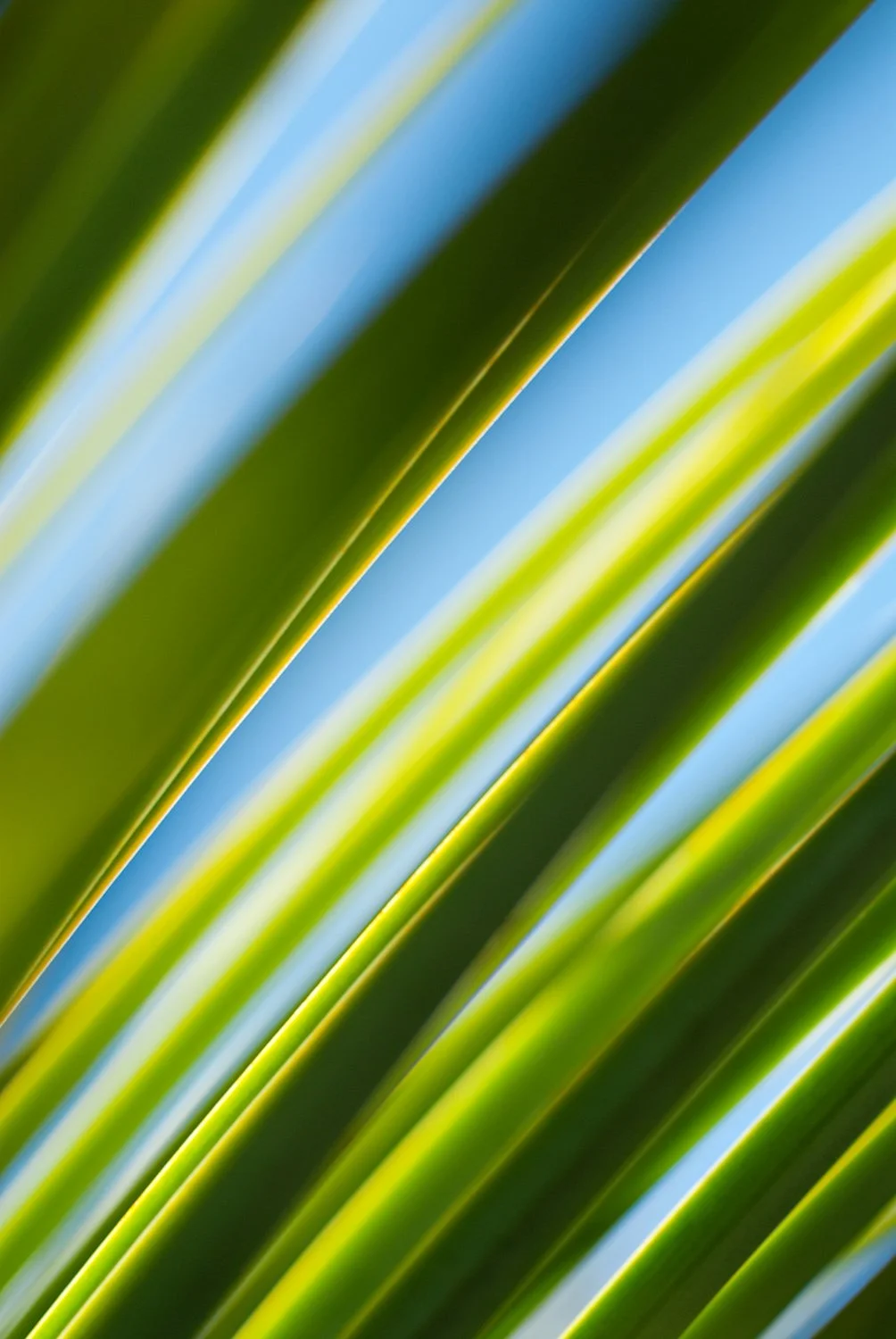 fine-art-photography-fine-art-prints-corporate-art-prints-architectural-art-prints-hospitality-interior-artwork-photos-andy-rasheed-adelaide