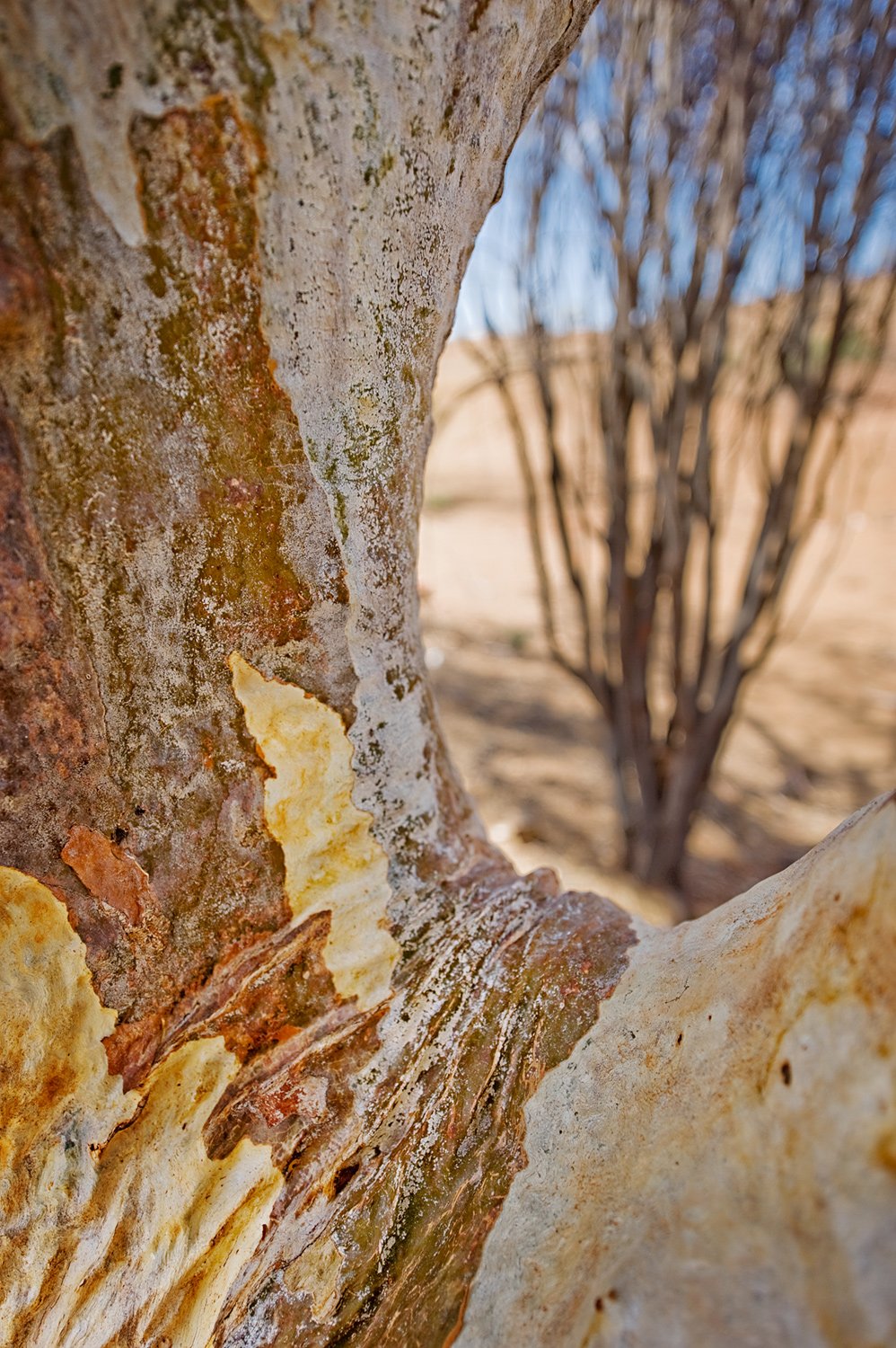 Why I am a photographic artist.