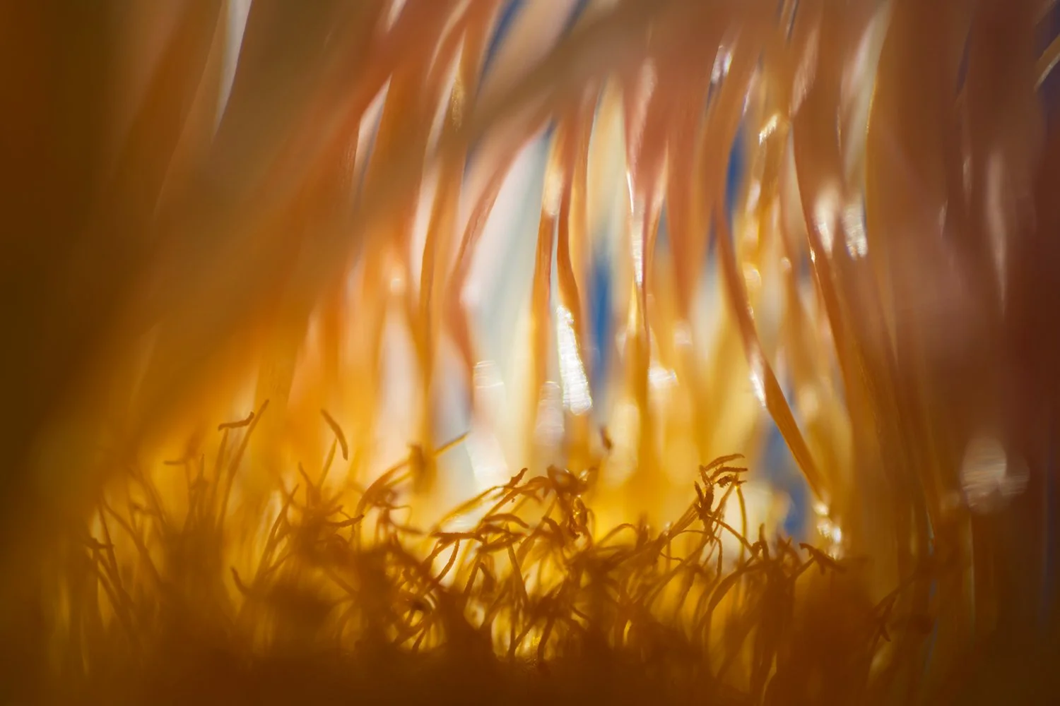 photographic-artwork-for-therapy-by-andy-rasheed