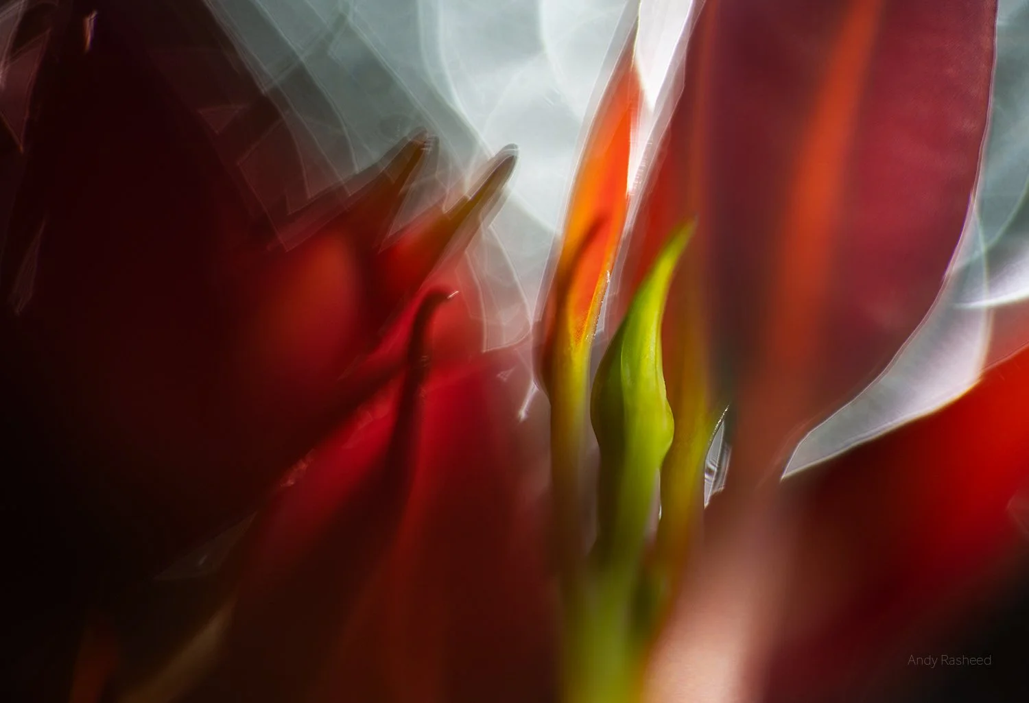 fine-art-photography-fine-art-prints-corporate-art-prints-architectural-artwork-photos-andy-rasheed-adelaide