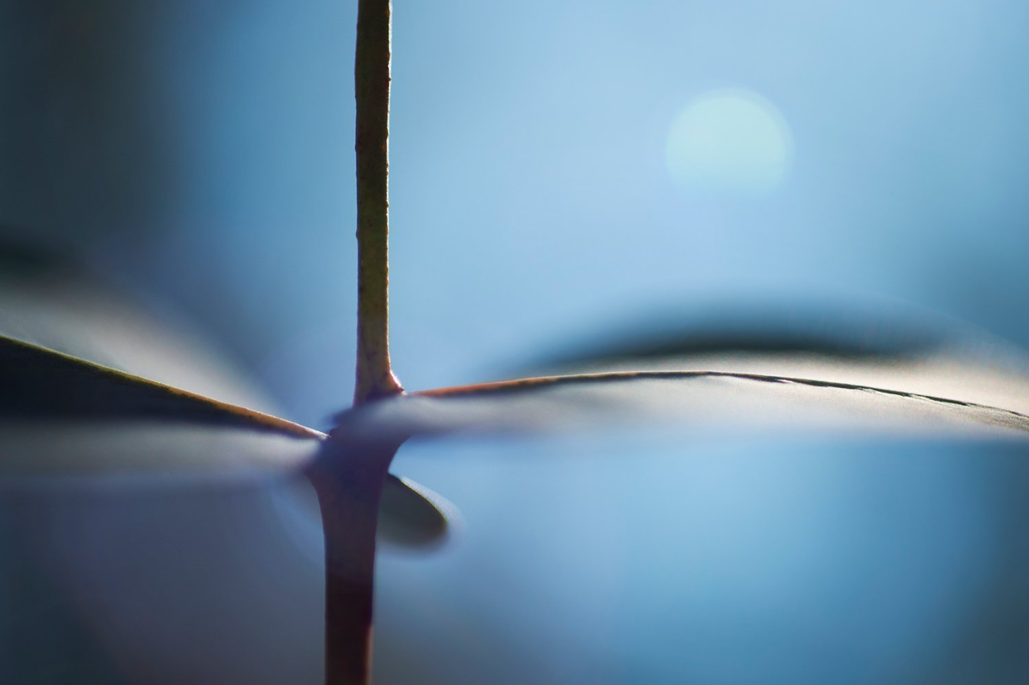 photographic-artwork-for-therapy-by-andy-rasheed
