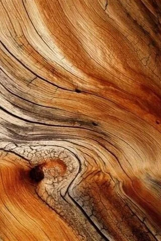 3dbdf6d398a882aa8b38fc40c2aa1607.jpg