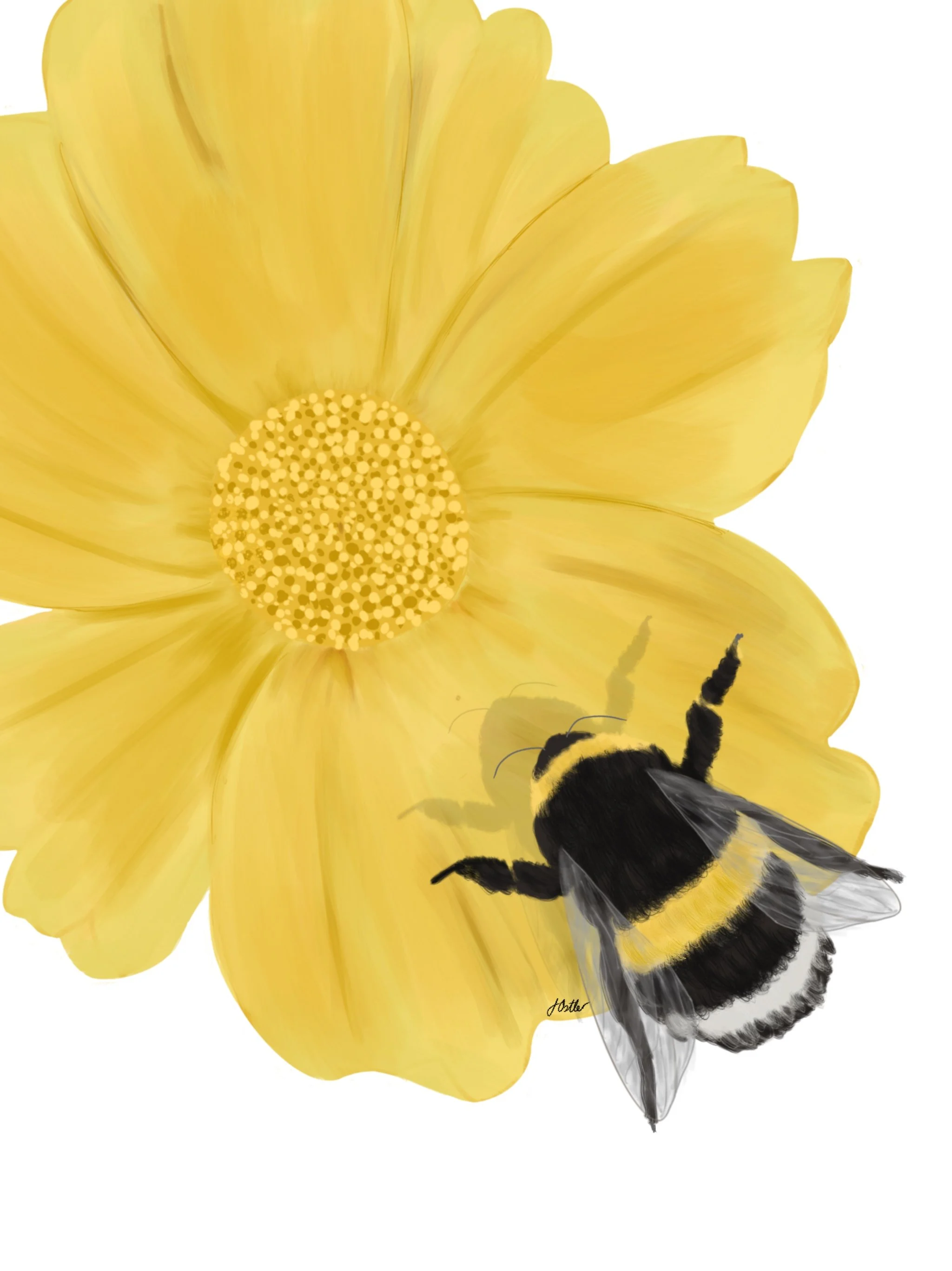 Sugar Water for Tired Lives