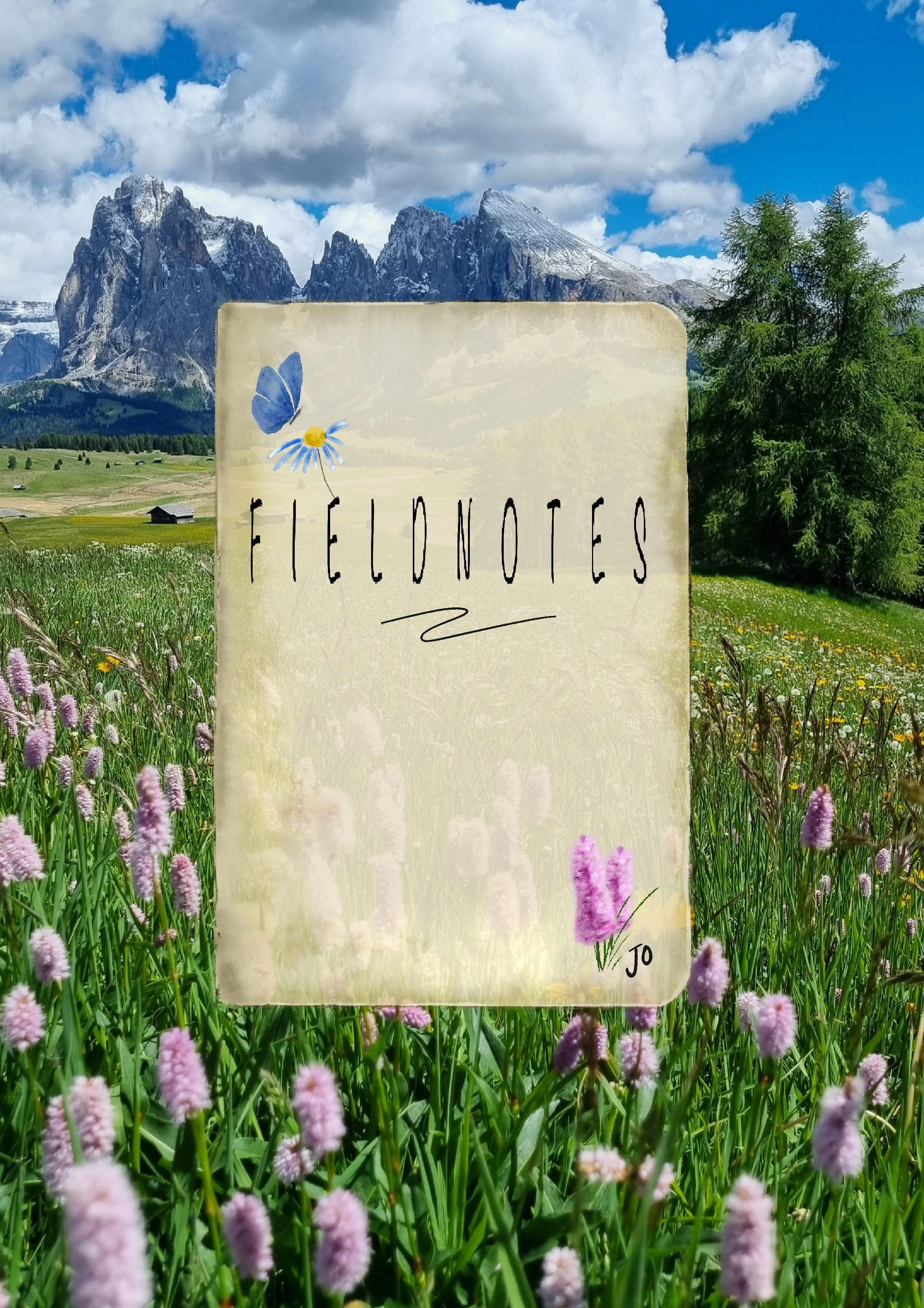Fieldnotes