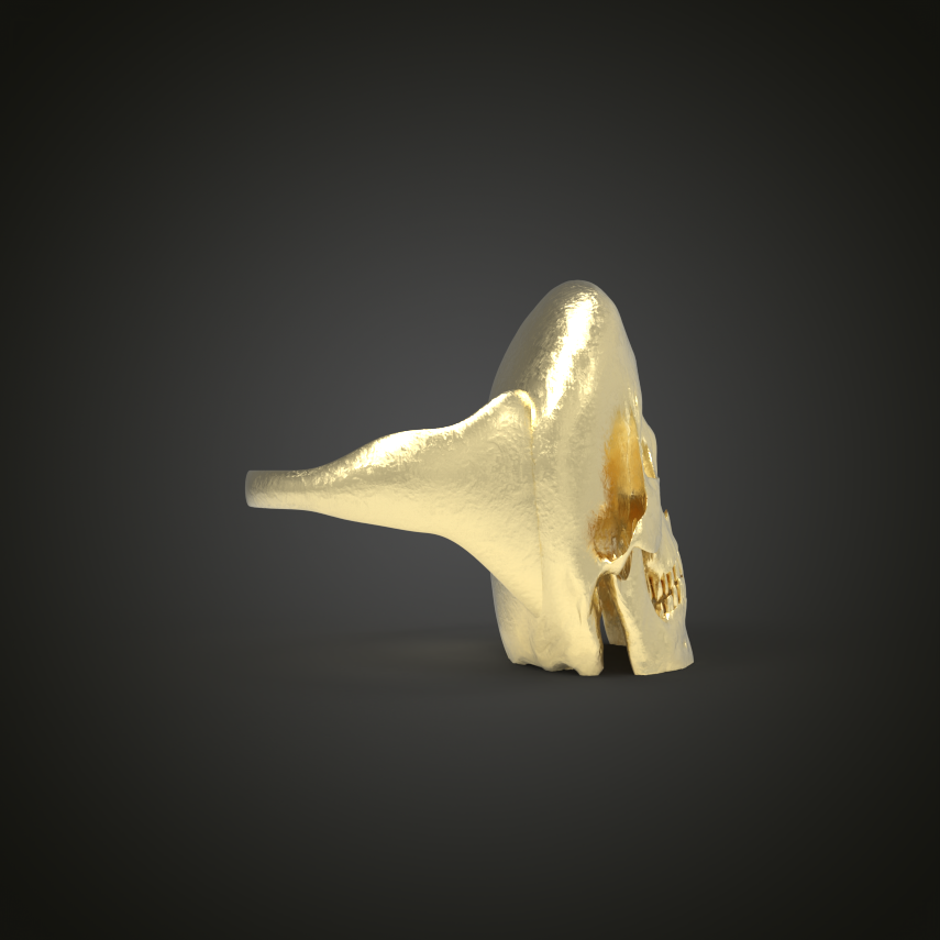 untitled.50.png
