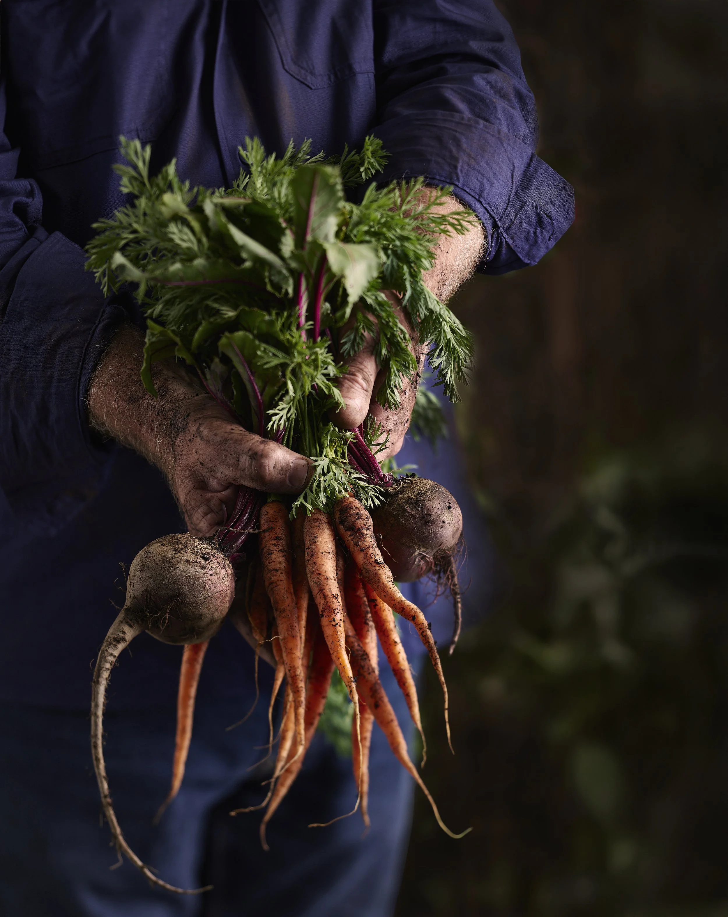 Farmers hands-carrots.jpg