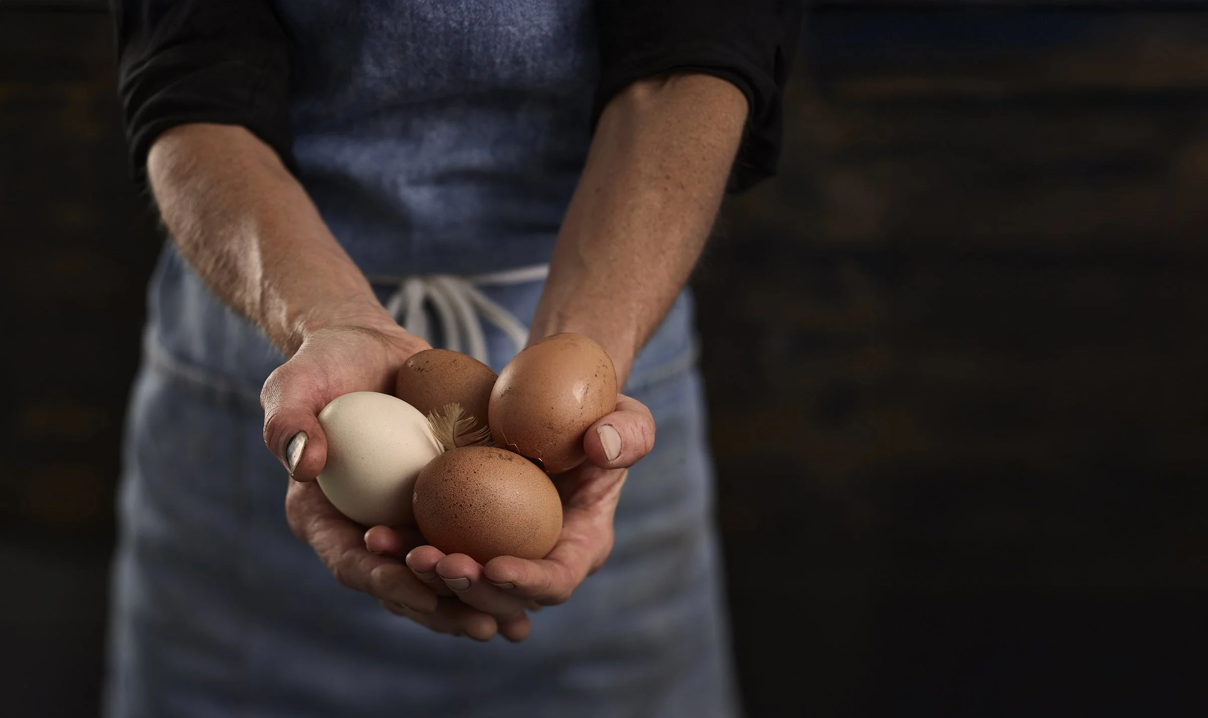 Farmers hands-eggs_1.jpg