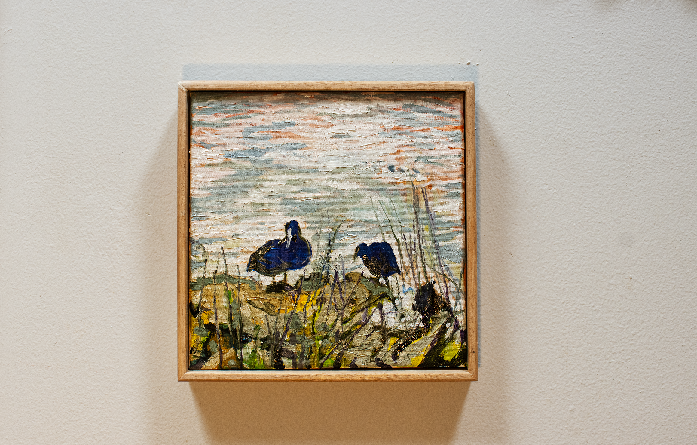 Ducks IMG_9090.png