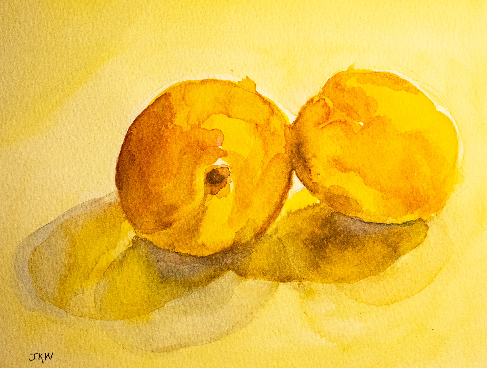 25 frames Apricots 300dpi CMKY small .png