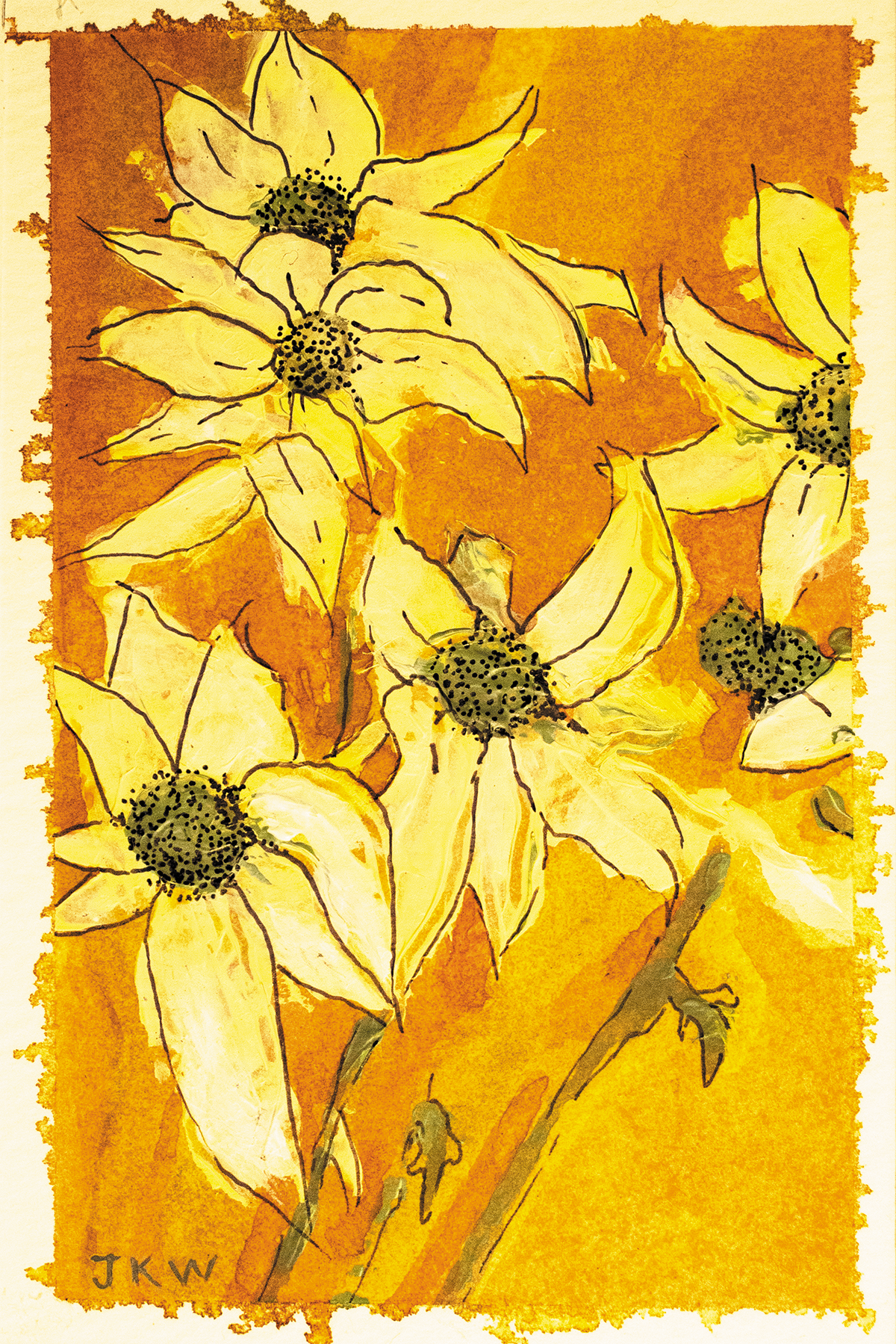 25 frames Flannel Flowers 300dpi CMKY small .png