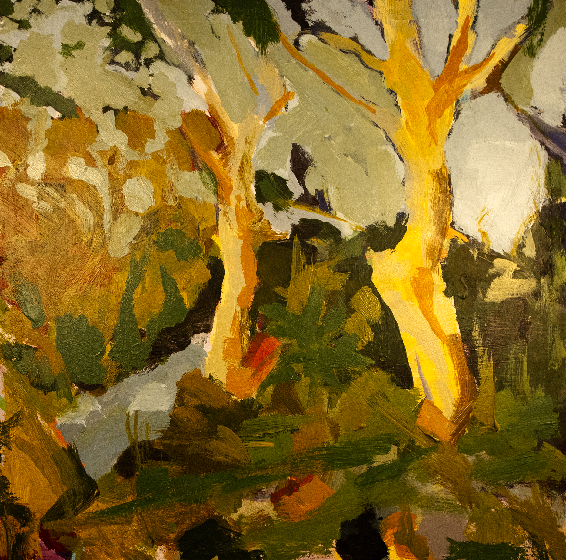 walking in Arncliffe - small.png