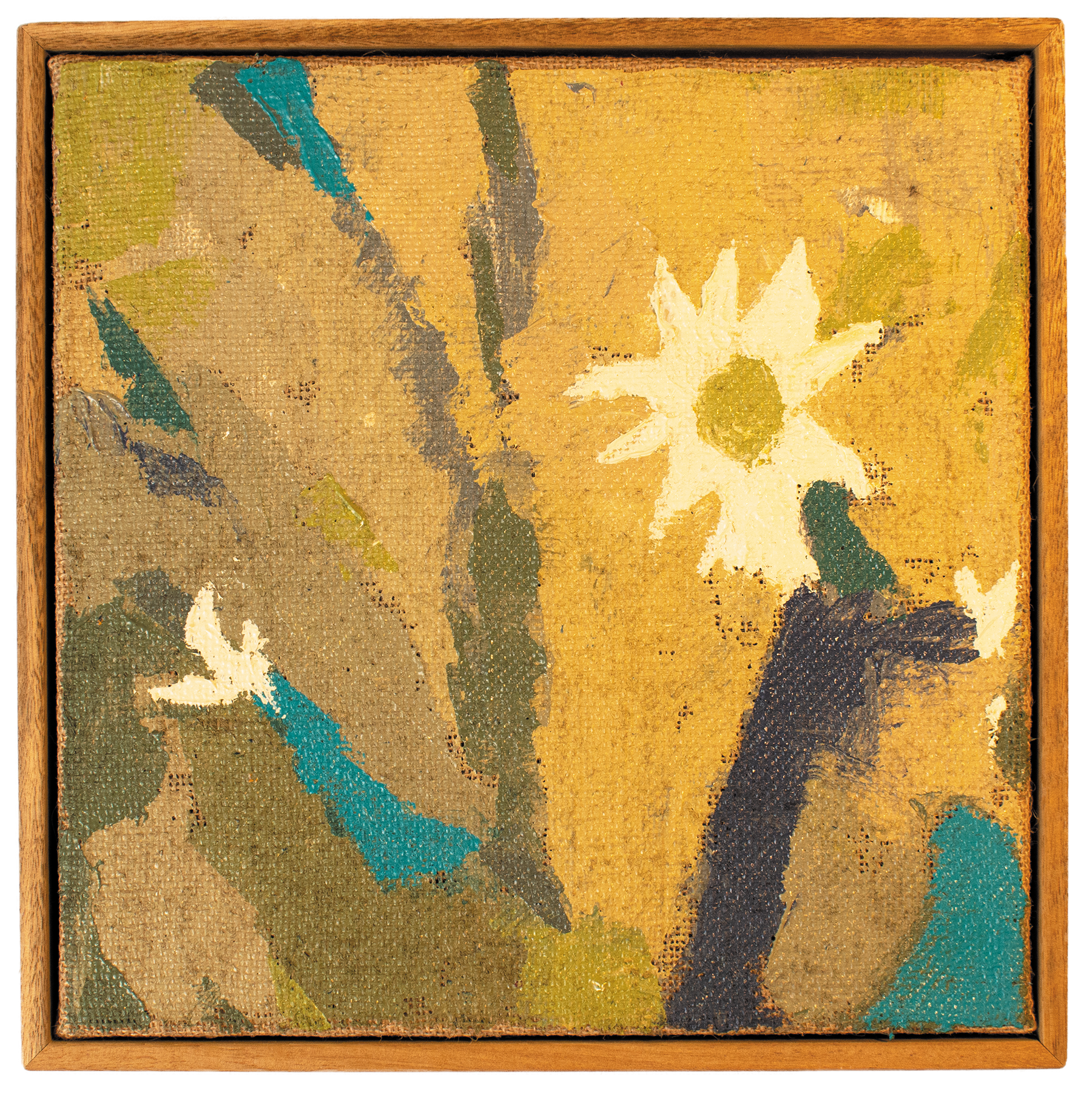 Flannel Flowers 1 RGB 300dpi small.png