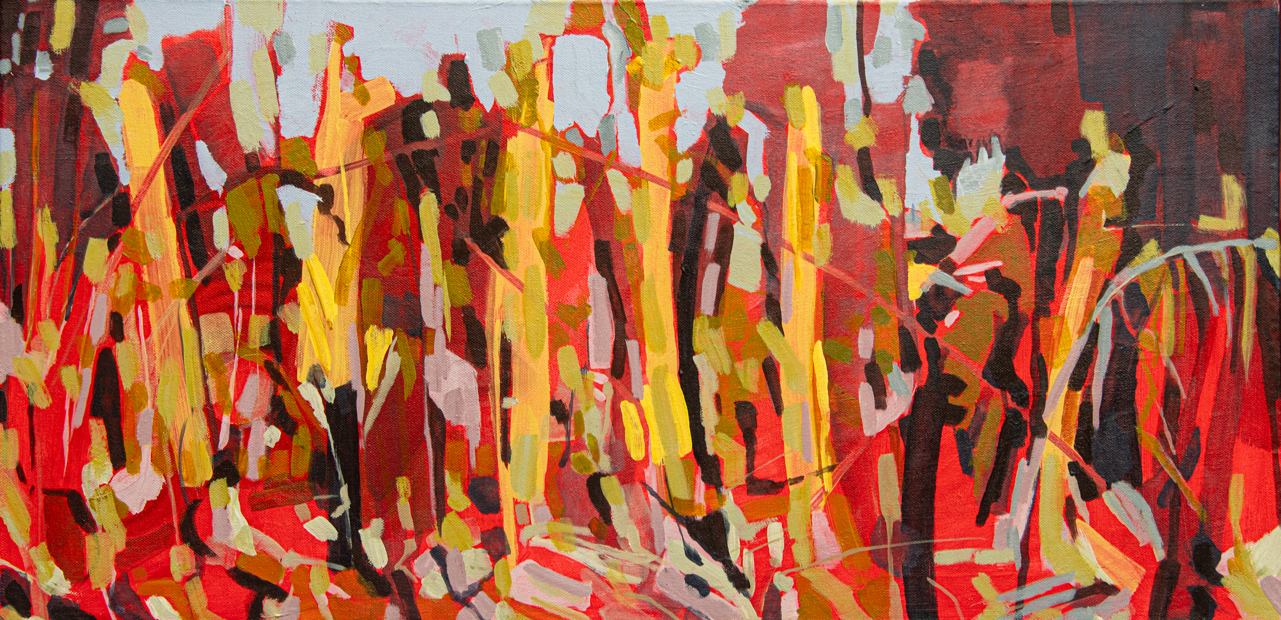 Light through the long Grass Small MG_8392.png