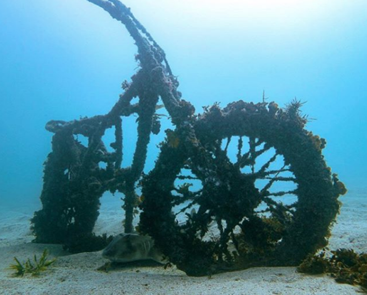 Screen Shot 2020-01-30 at 9.24.13 PM.png