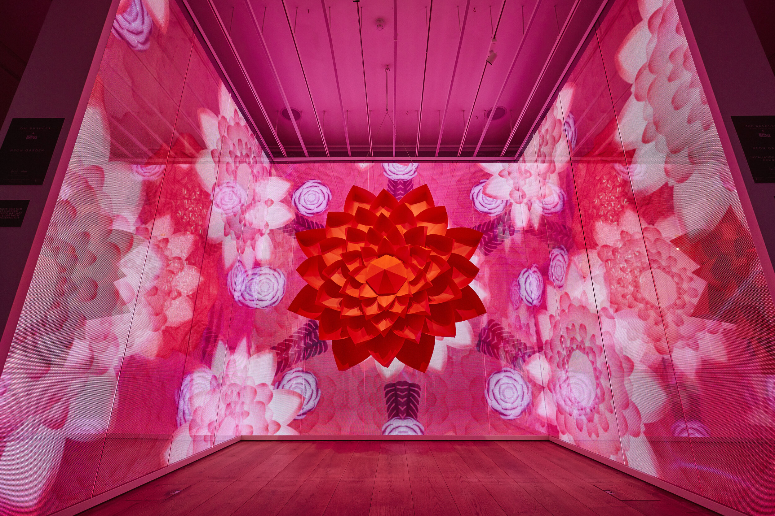 ZOE-BRADLEY-DESIGN-MELISSA-GALLERY-PAPER-FLOWERS-GIANT-NEON-COLOUR.jpg