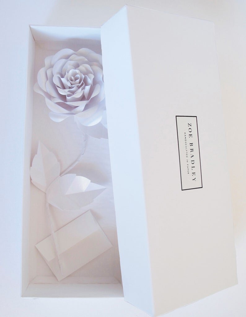 White Everlasting Paper Rose