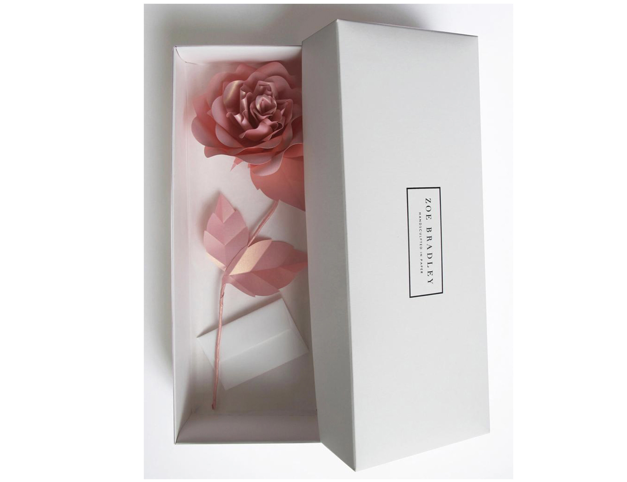 zoe-bradley-desig-paper-rose-shop-paper-artist-paper-anniversary-gift-pink.jpg
