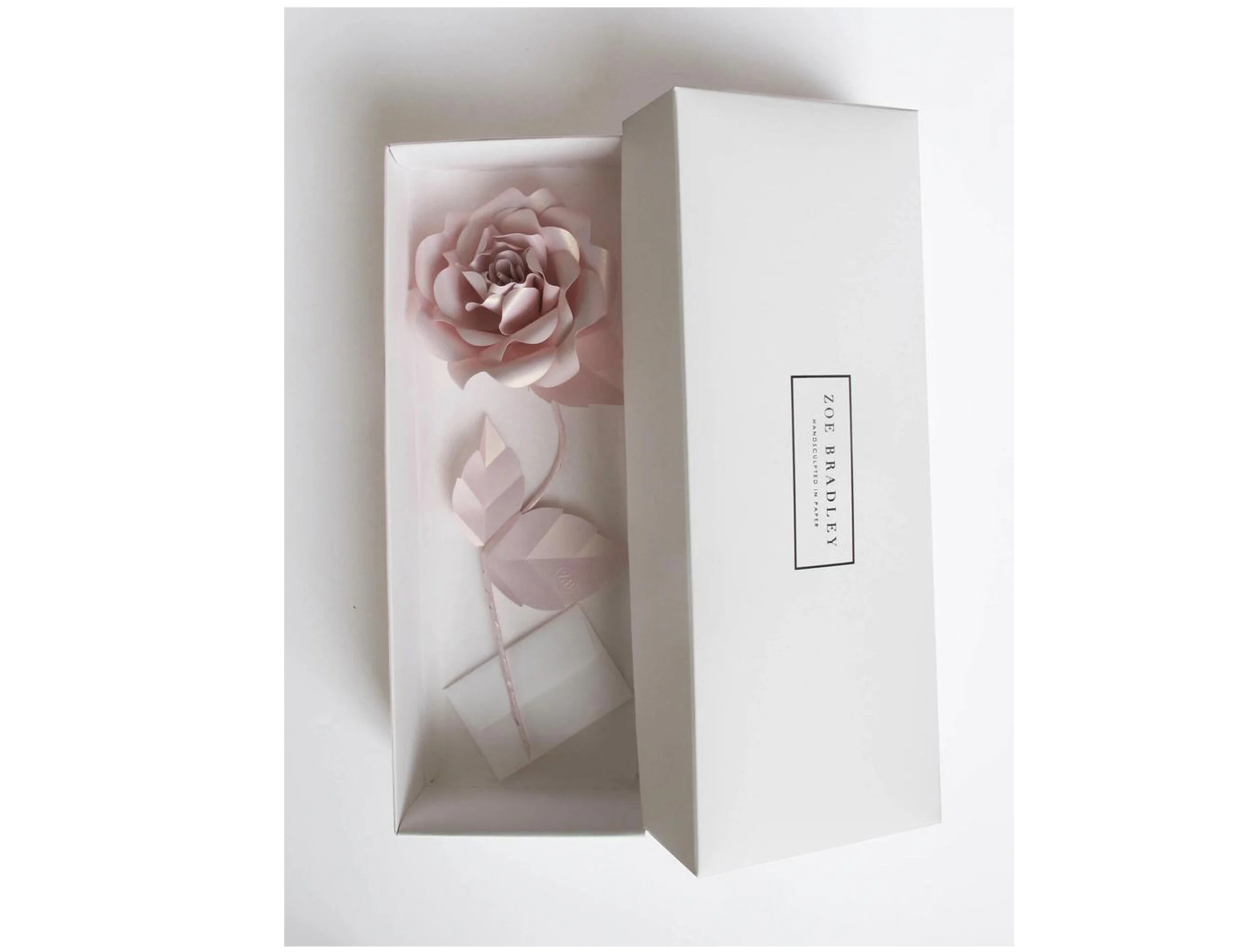 zoe-bradley-desig-paper-rose-shop-paper-artist-paper-anniversary-gift-pink-pastel.jpg