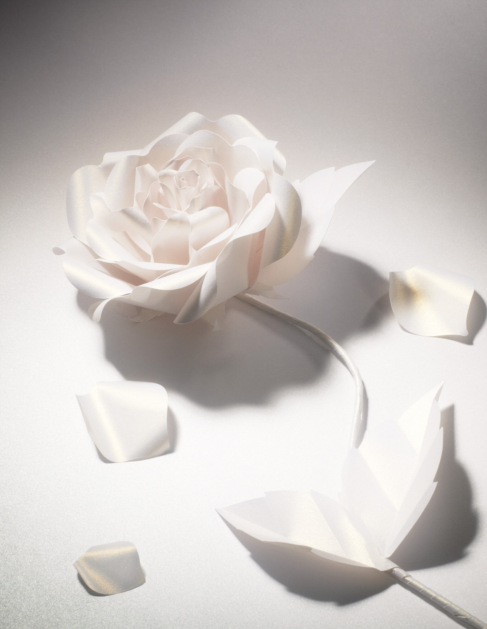 zoe-bradley-design-perfume-set-design-paper-art-ripple-fragraence-props-harrods-8-paper-rose.jpg