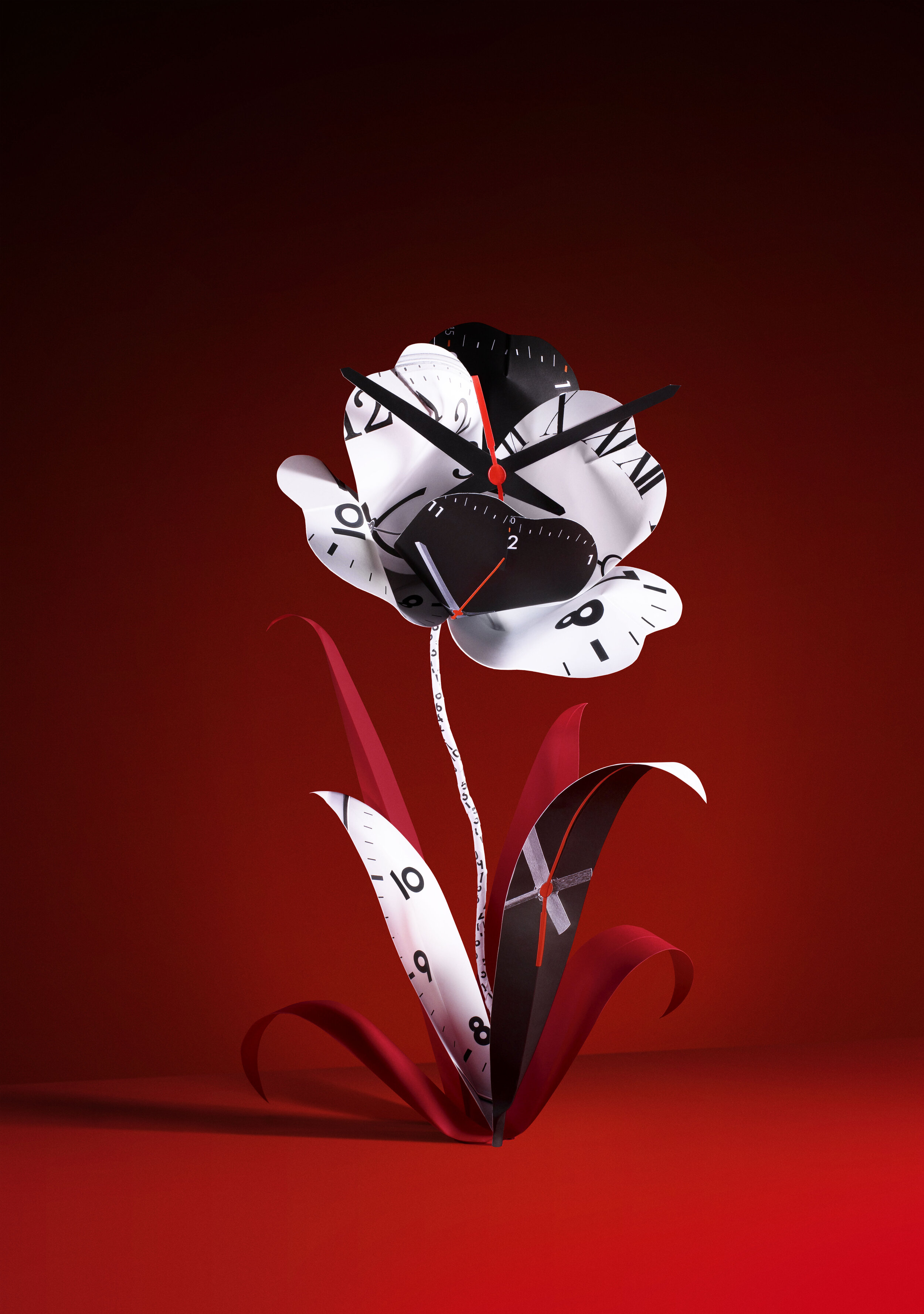 zoe-bradley-design-royal-mail-paper-flower-advertising-photopgrahy.jpg