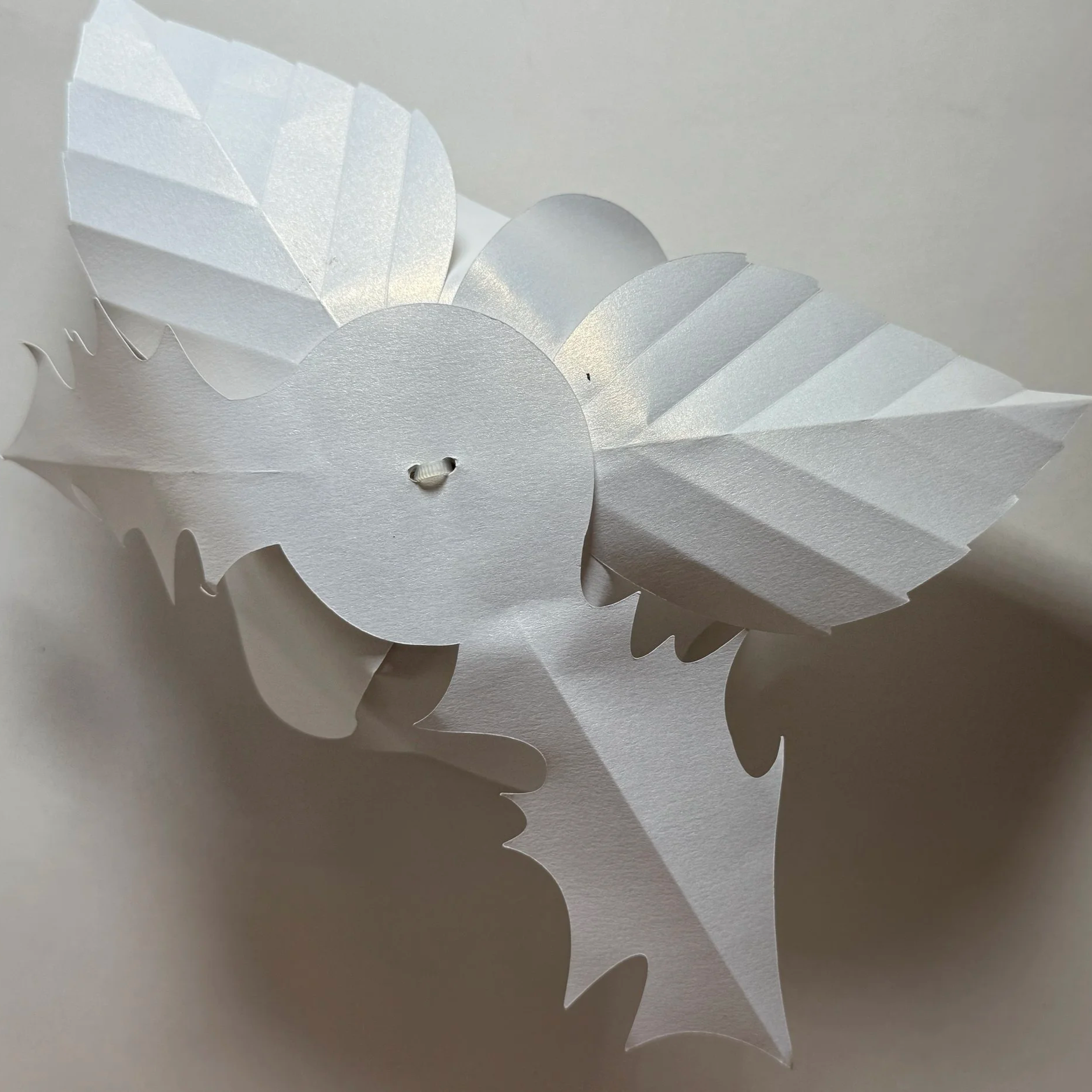 IMG_5534.png (Copy)