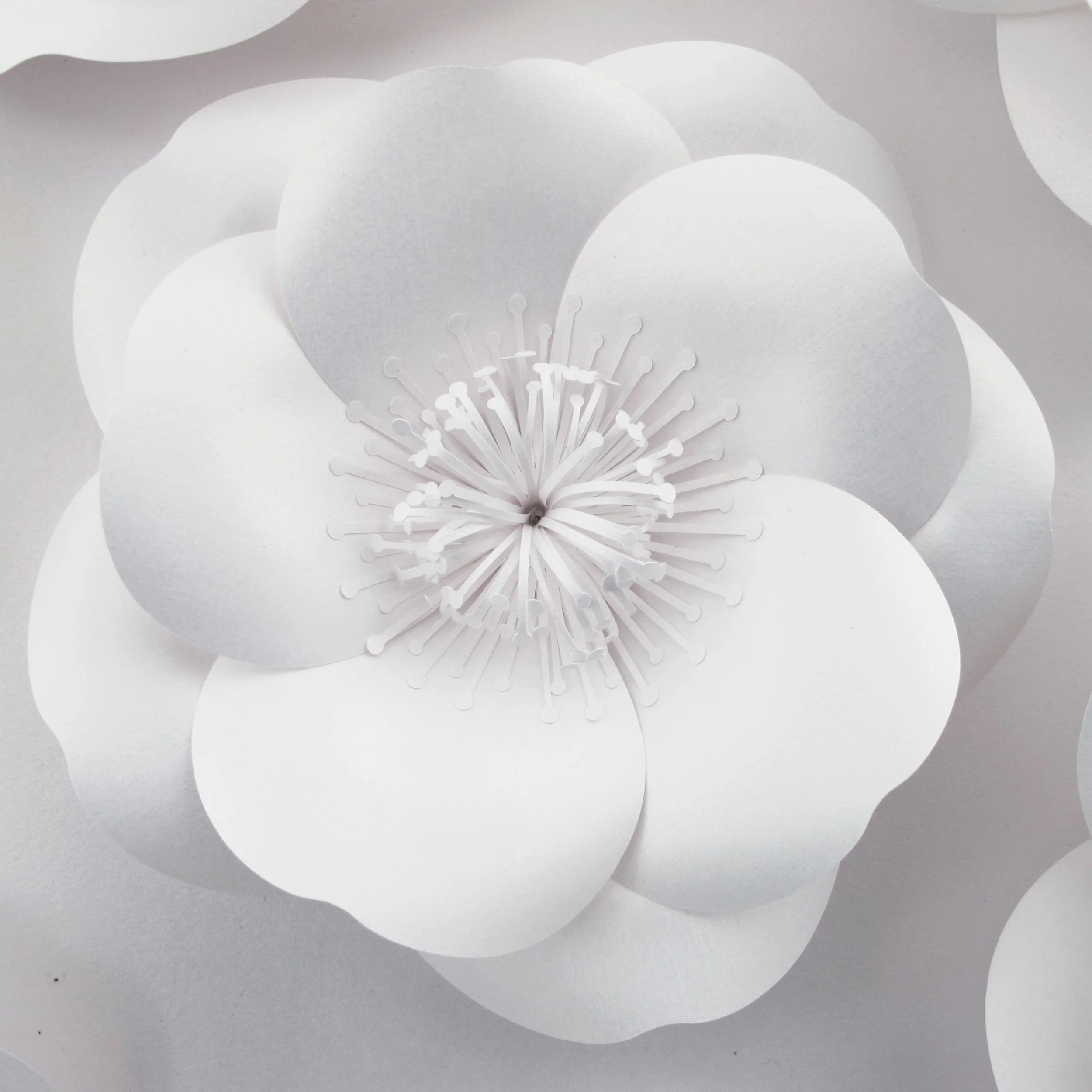 paper-cherry-blossom-frame-artwork-paperartist-zoe-bradley-design-home-decor-luxury-4.jpg