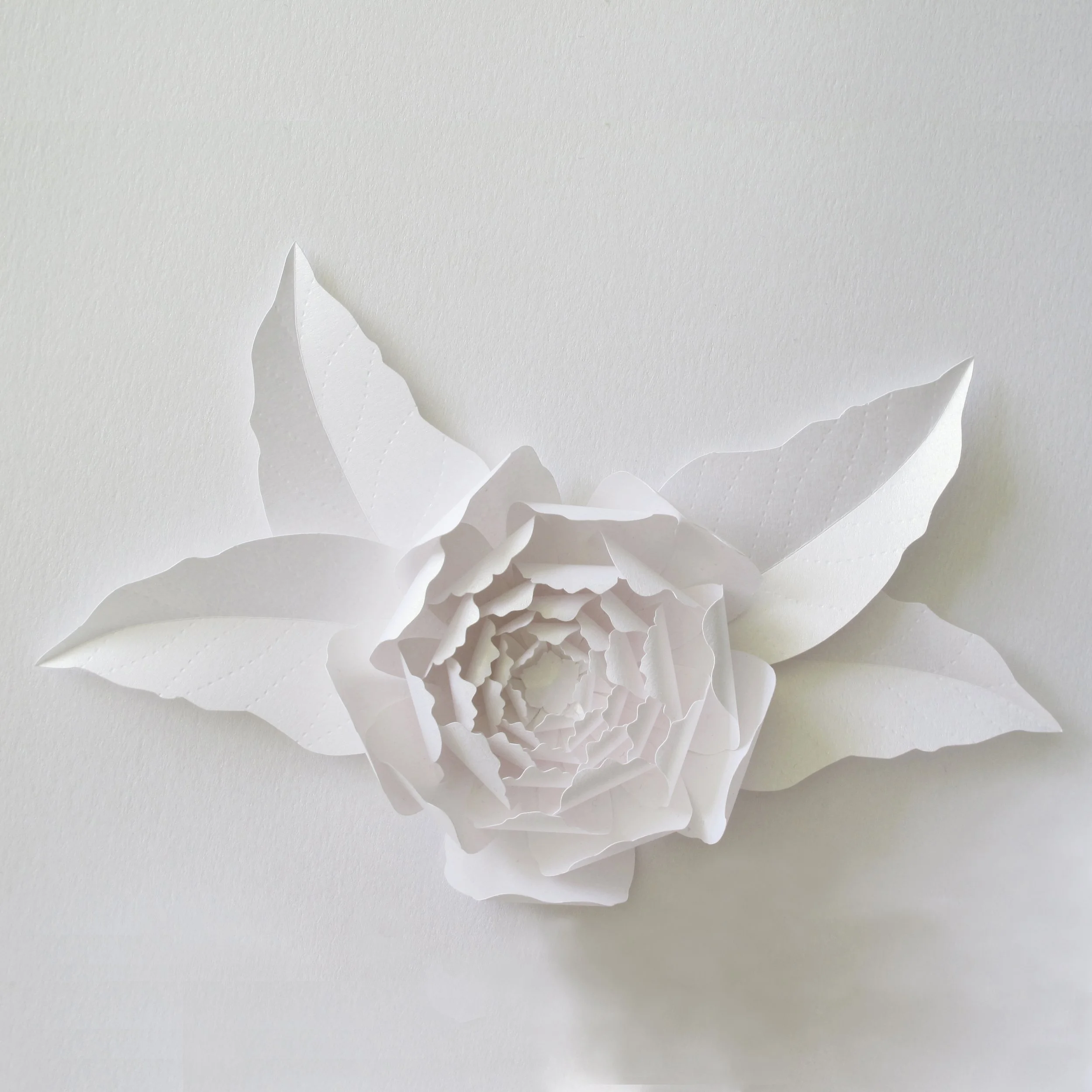 paper-peony-frame-artwork-paperartist-zoe-bradley-design-home-decor-luxury-4.jpg