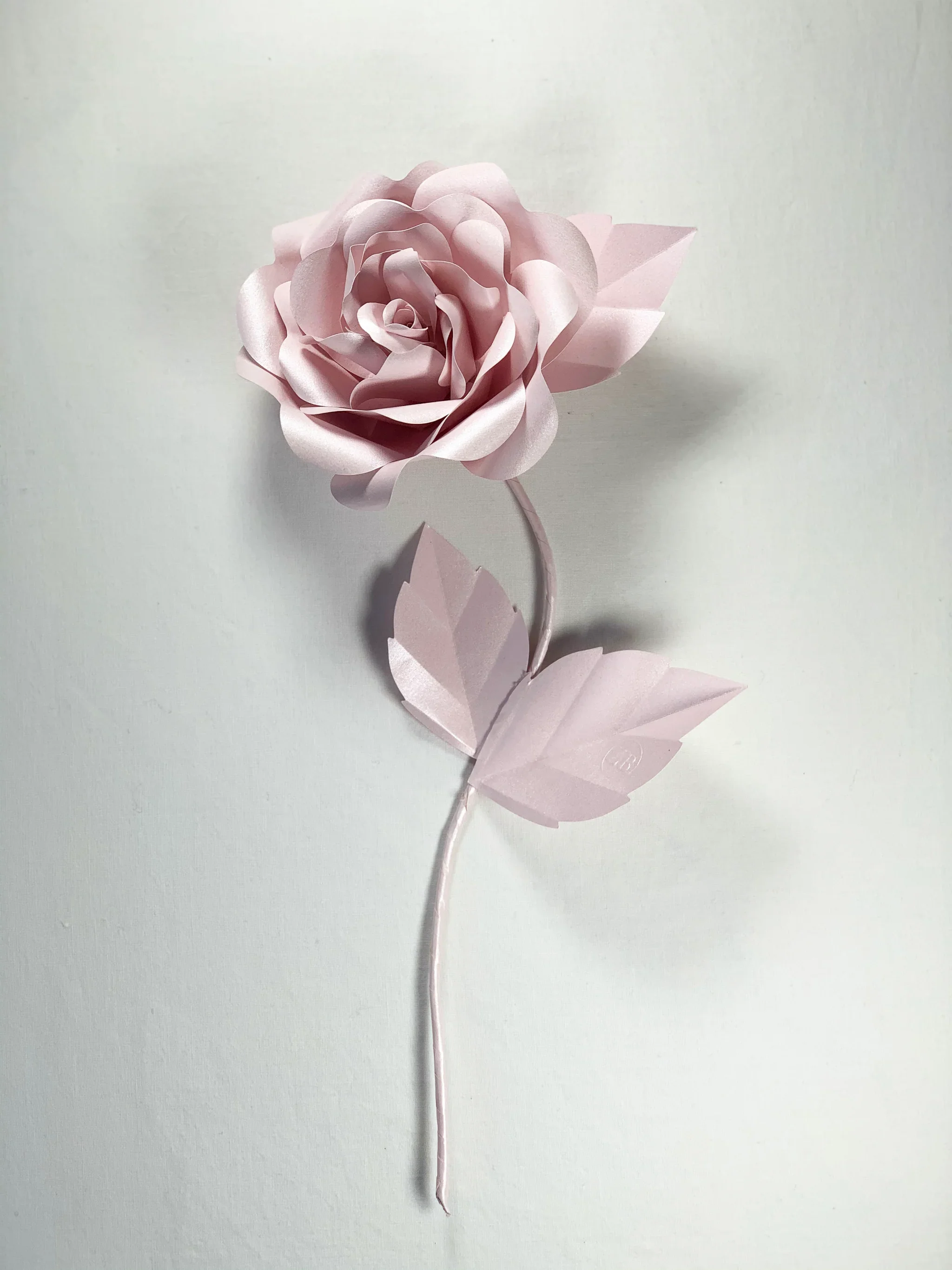 Everlasting Paper Rose