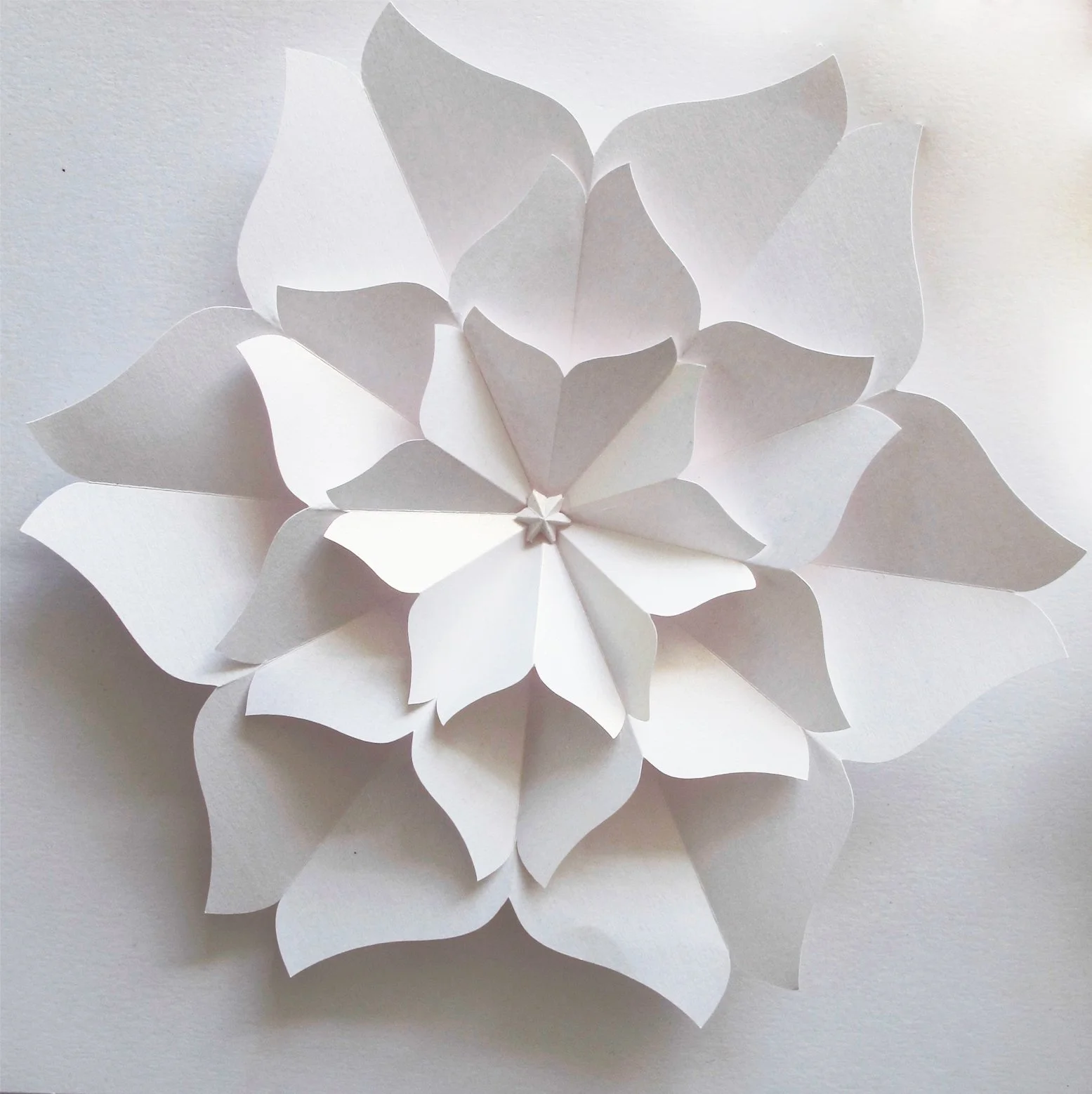 paper-sakura-flower-frame-artwork-paperartist-zoe-bradley-design-home-decor-luxury-4.jpg