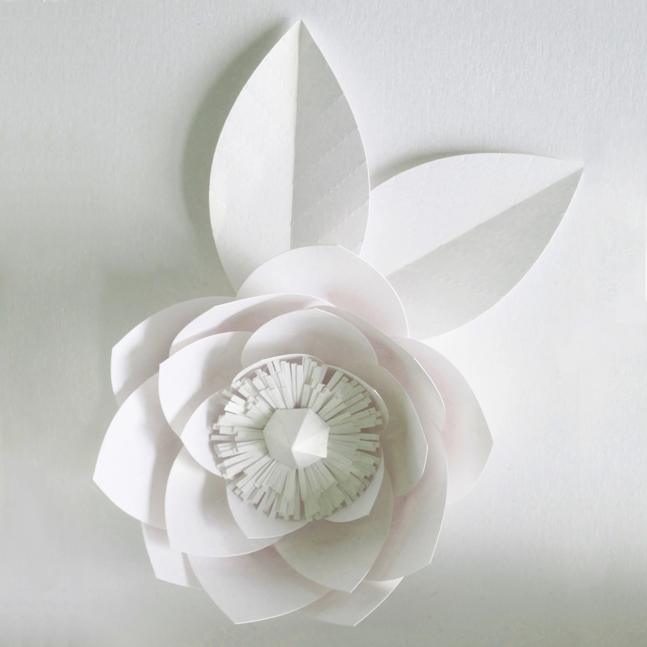 paper-lotus-flower-frame-artwork-paperartist-zoe-bradley-design-home-decor-luxury-4.jpg
