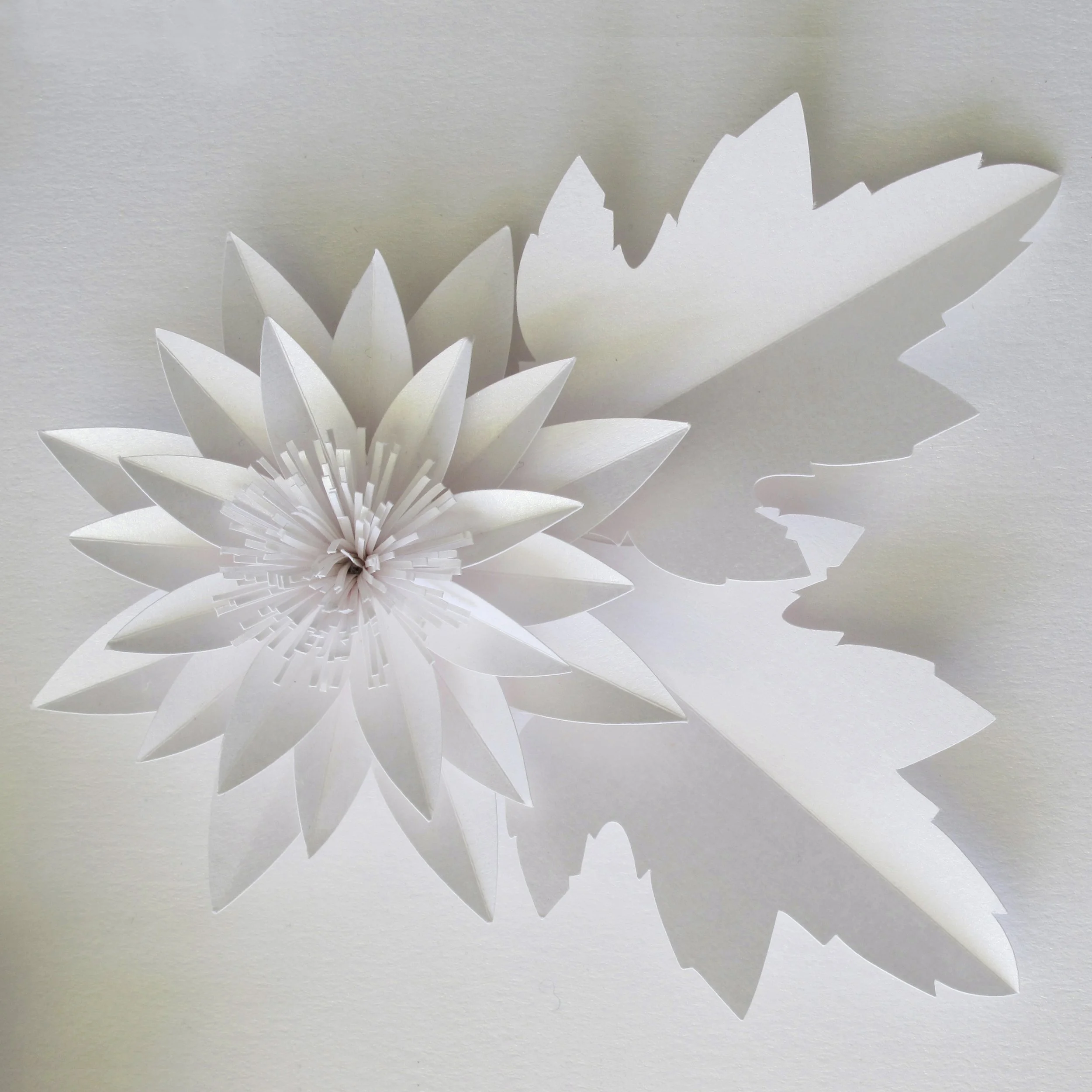 paper-sunflower-frame-artwork-paperartist-zoe-bradley-design-home-decor-luxury-4.jpg