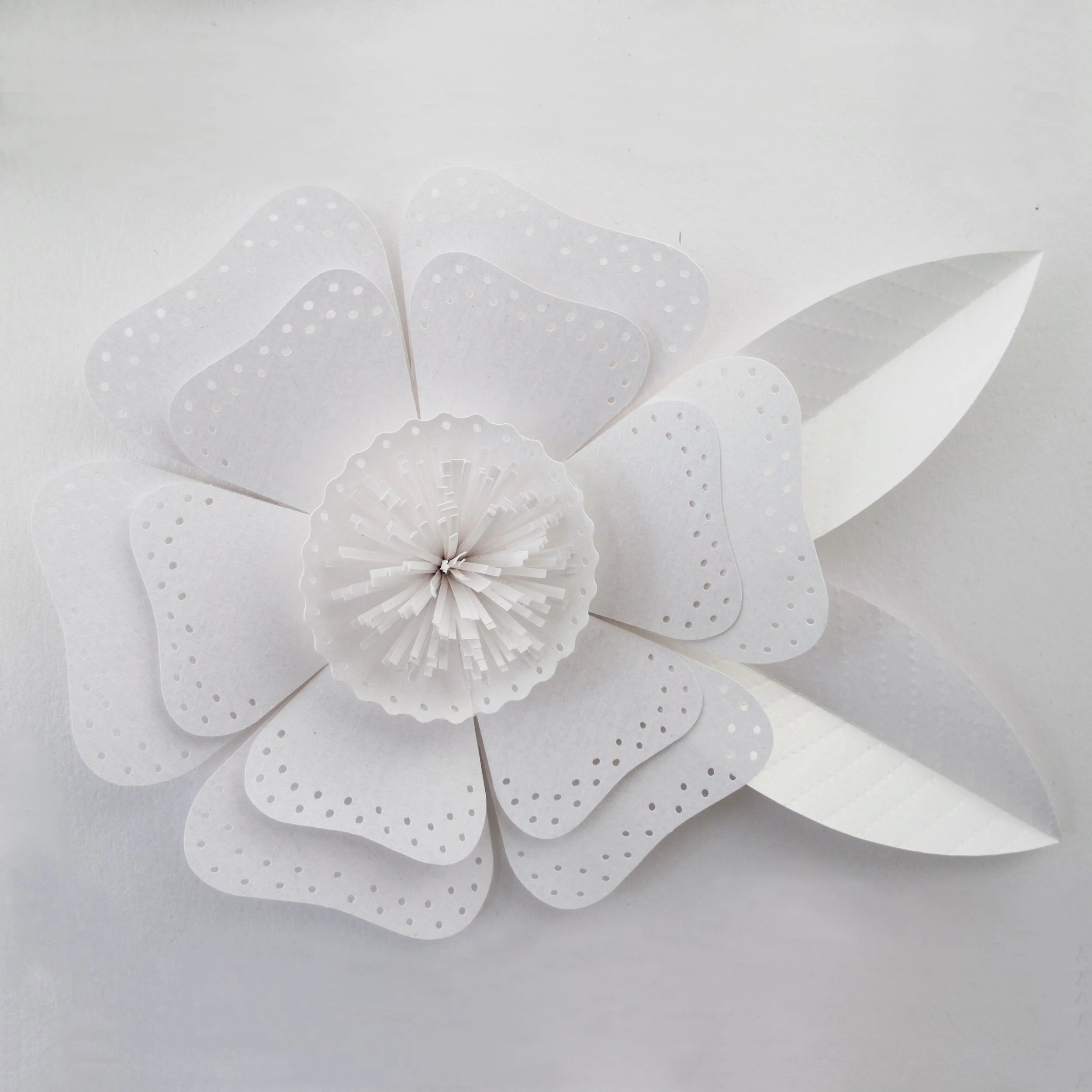 paper-kate-blossom-flower-frame-artwork-paperartist-zoe-bradley-design-home-decor-luxury-4.jpg