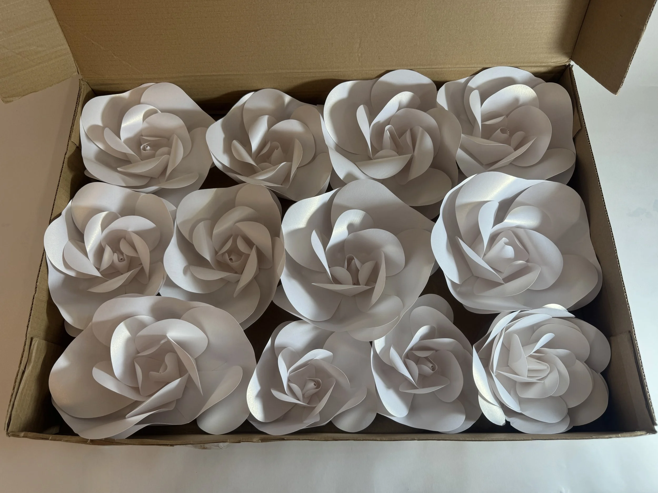 White Paper Rose Flowers