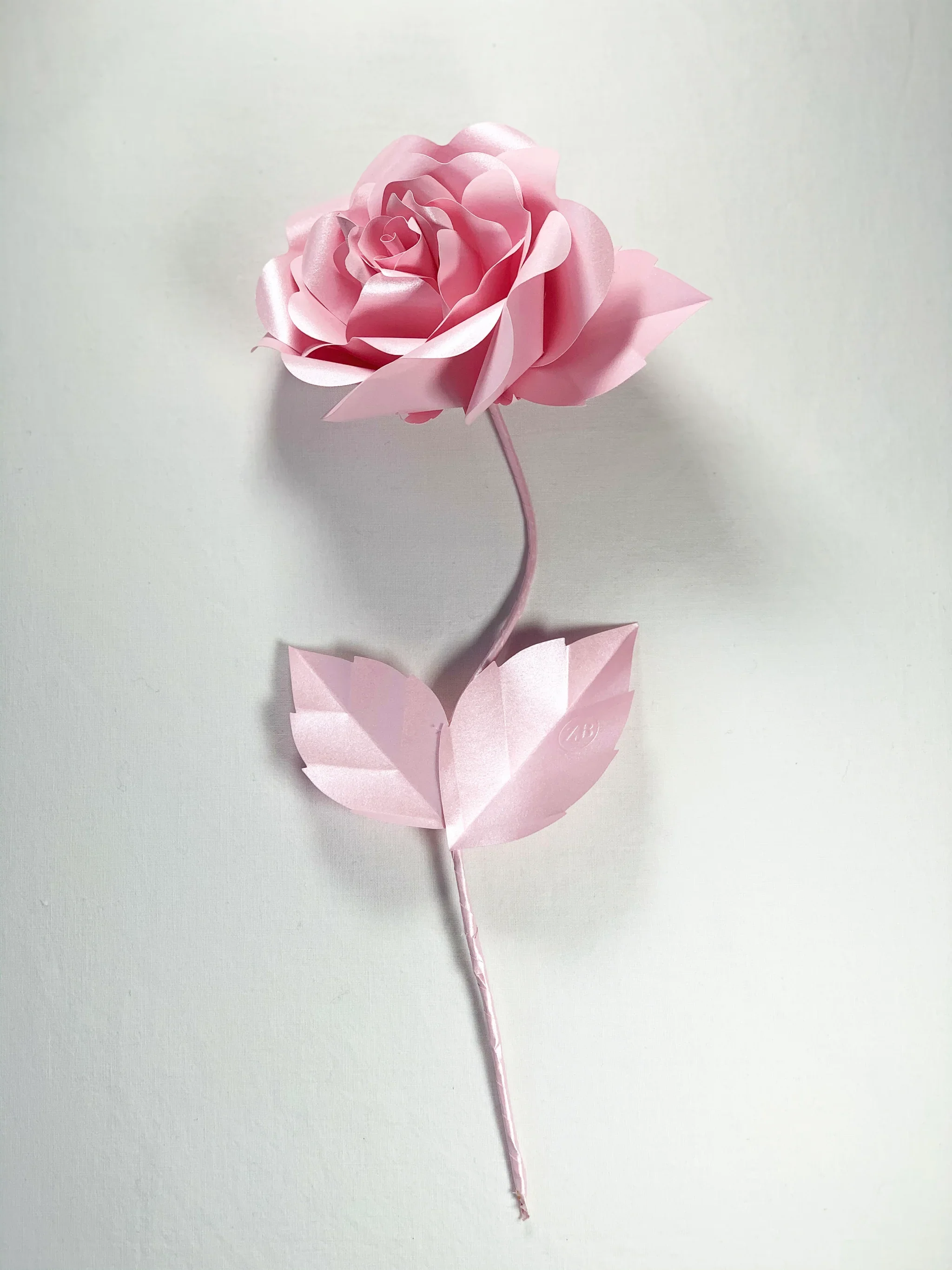 Everlasting Paper Rose