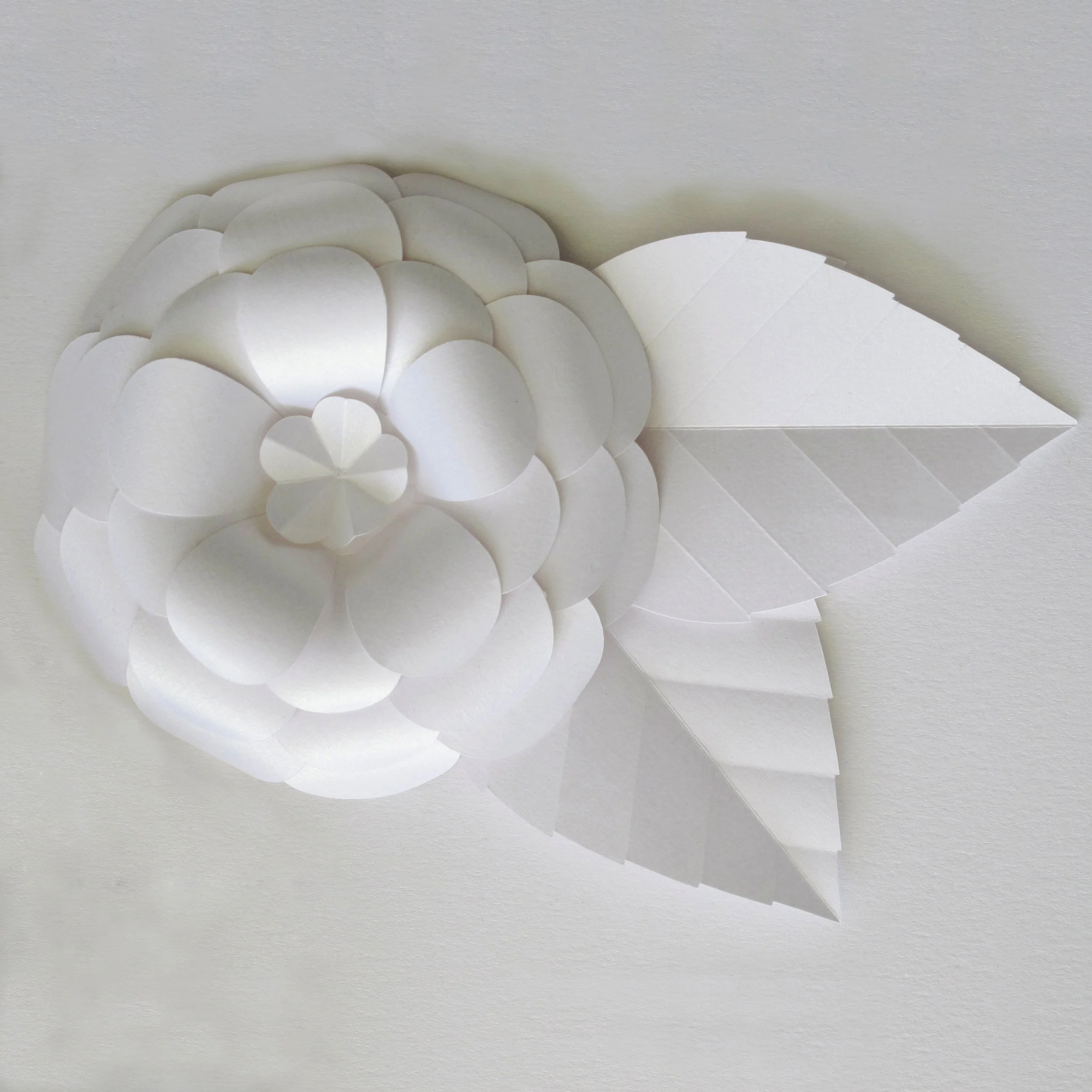 paper-japanese-flower-frame-artwork-paperartist-zoe-bradley-design-home-decor-luxury-4.jpg