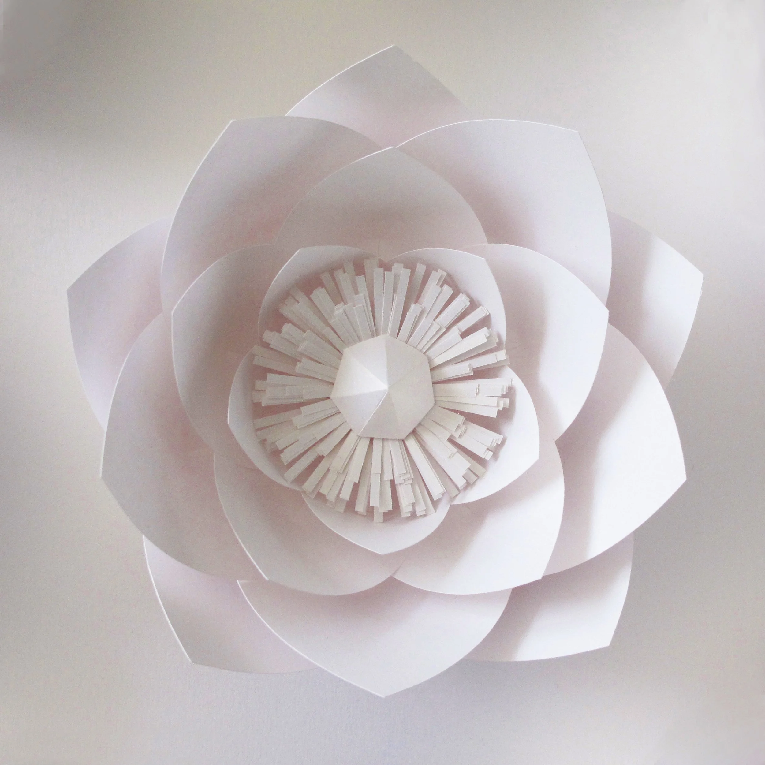 paper-lotus-flower-frame-artwork-paperartist-zoe-bradley-design-home-decor-luxury-4.jpg