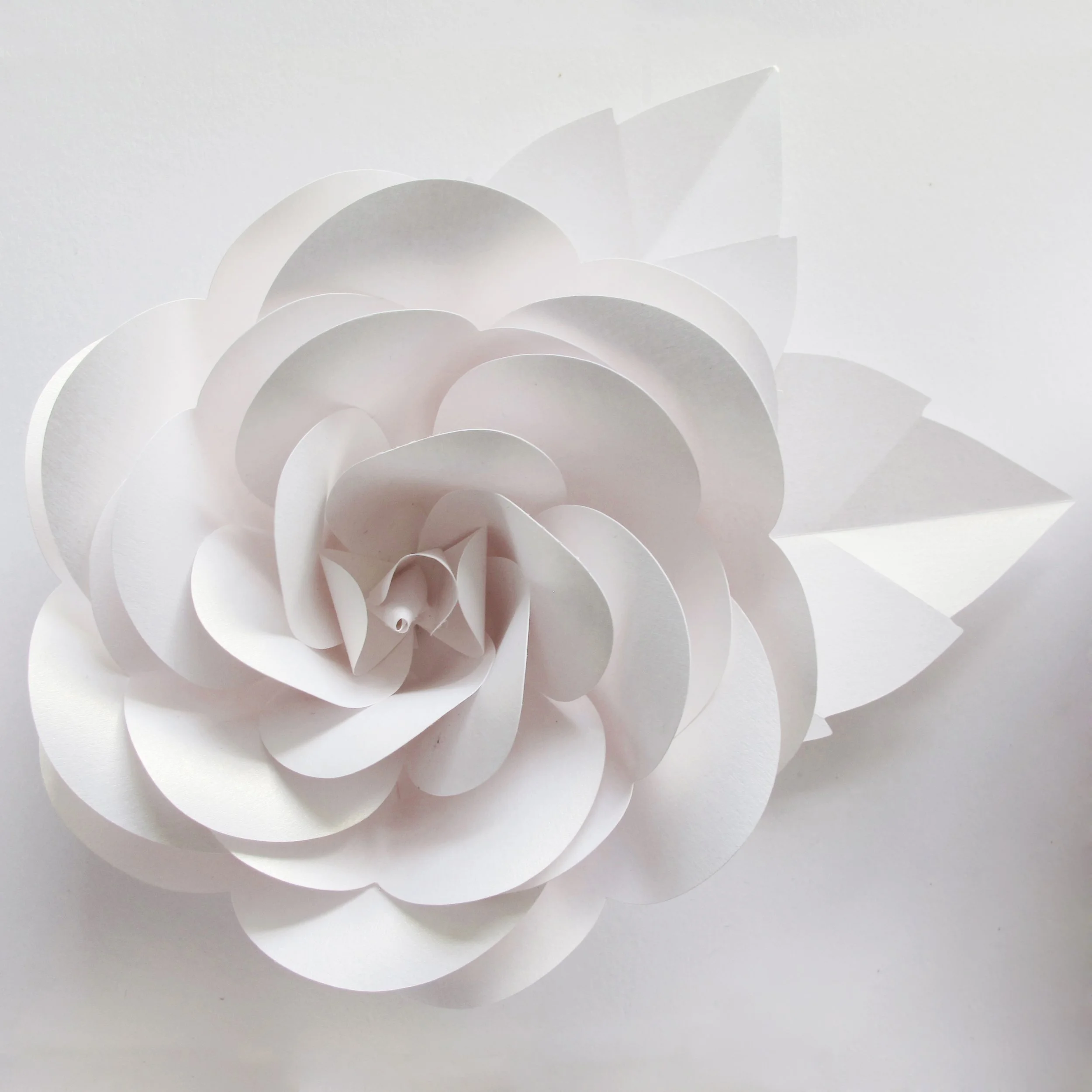 paper-rose-frame-artwork-paperartist-zoe-bradley-design-home-decor-luxury-4.jpg