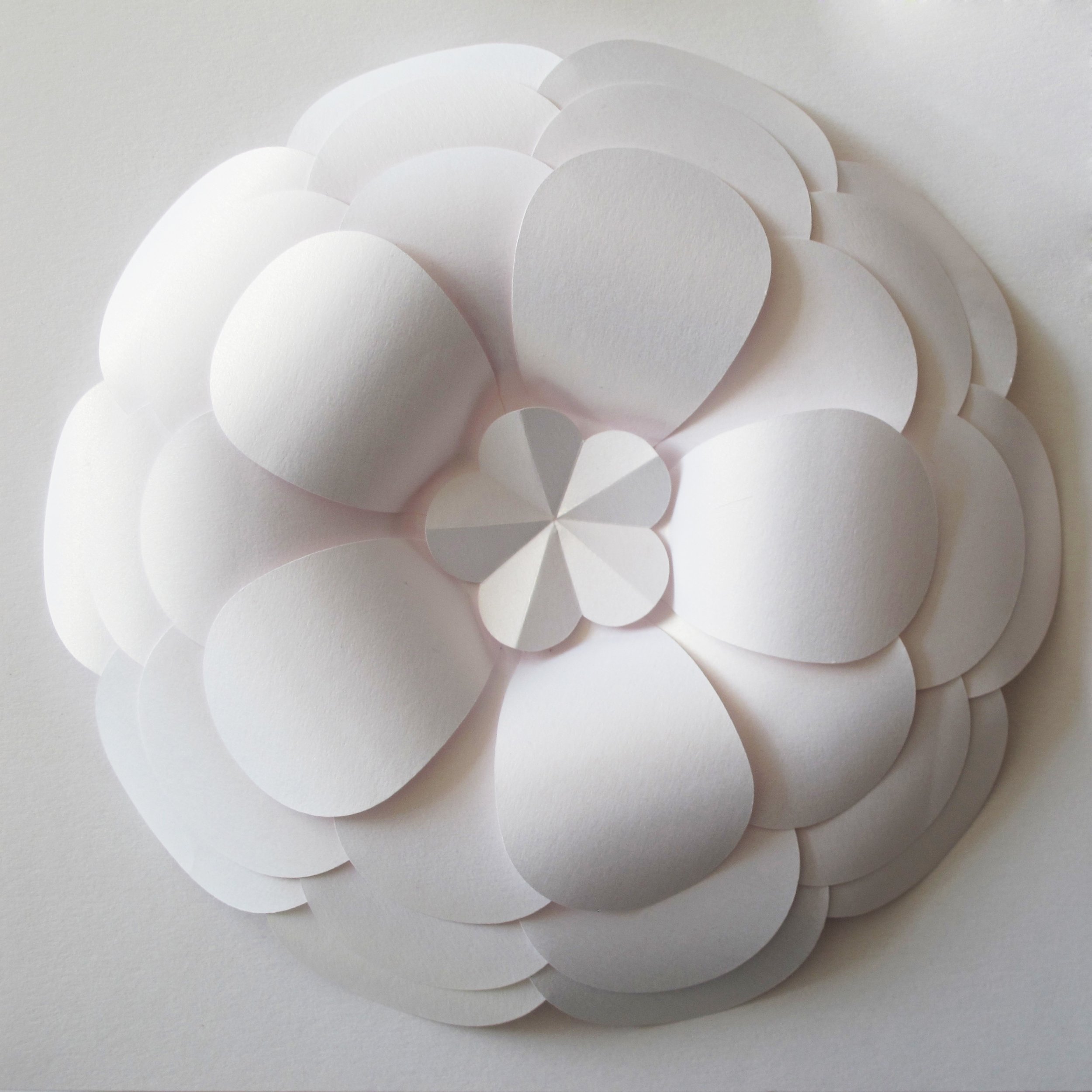 paper-japanese-flower-frame-artwork-paperartist-zoe-bradley-design-home-decor-luxury-4.jpg