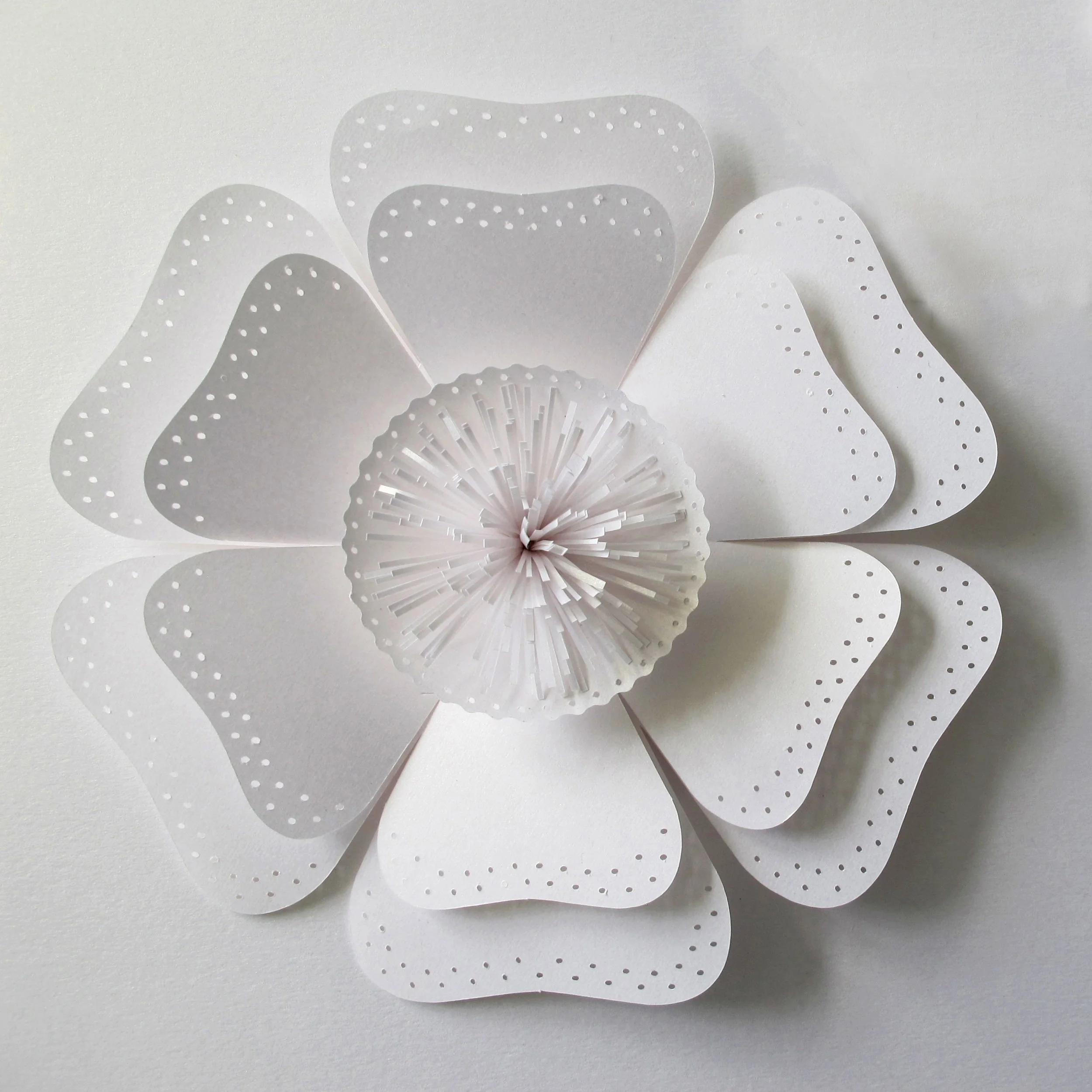 paper-kate-blossom-flower-frame-artwork-paperartist-zoe-bradley-design-home-decor-luxury-4.jpg
