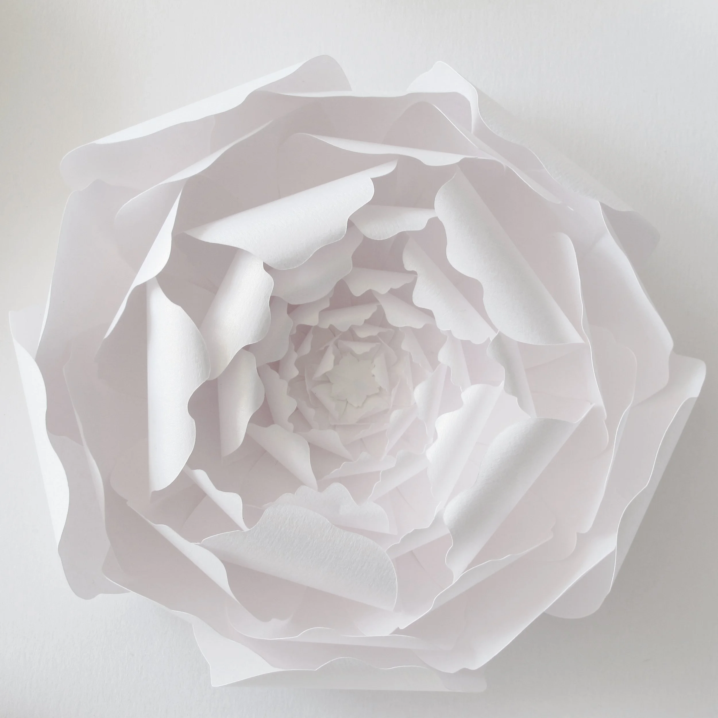 paper-peony-frame-artwork-paperartist-zoe-bradley-design-home-decor-luxury-4.jpg