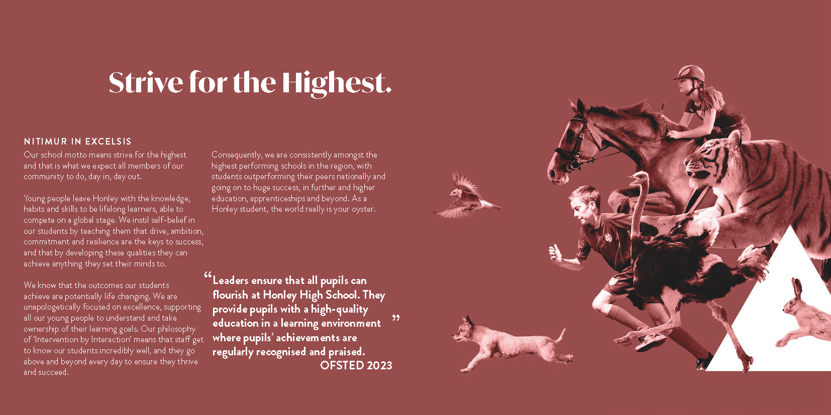 Honley prospectus 2025-proof_Page_05.png