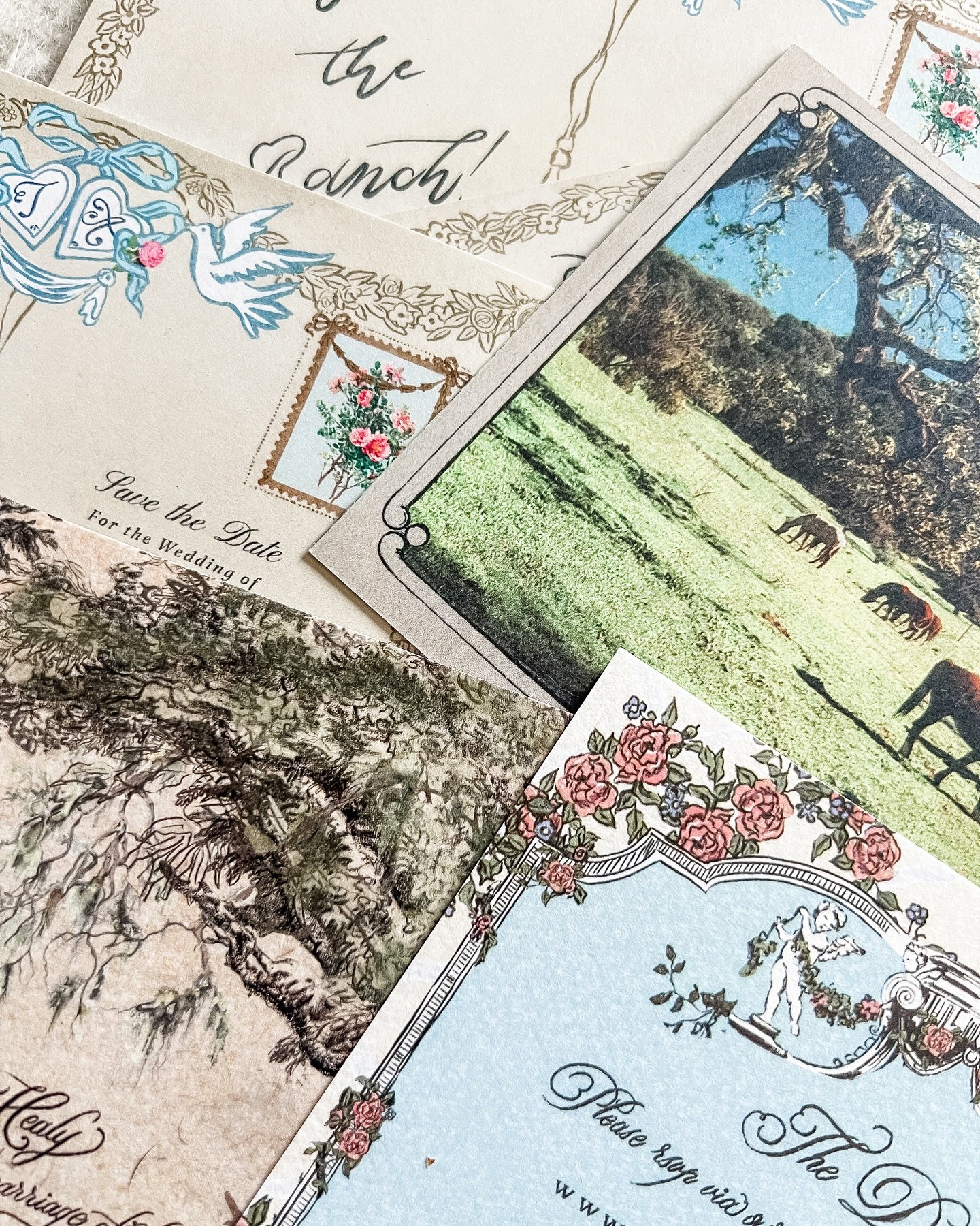 A little peek at the prettiest paper trail headed to guests&rsquo; letterboxes&hellip; horses, florals and a whole lot of romance! ❤️&zwj;🔥 🍀